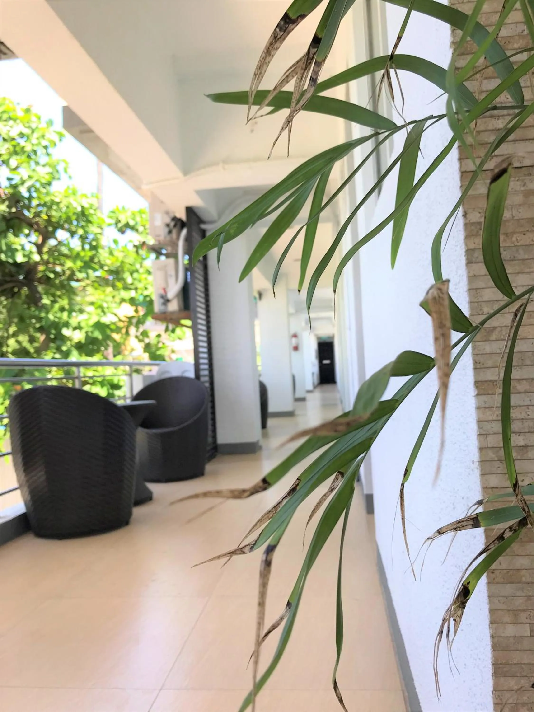 Property building in Grand Blue Beach Hotel