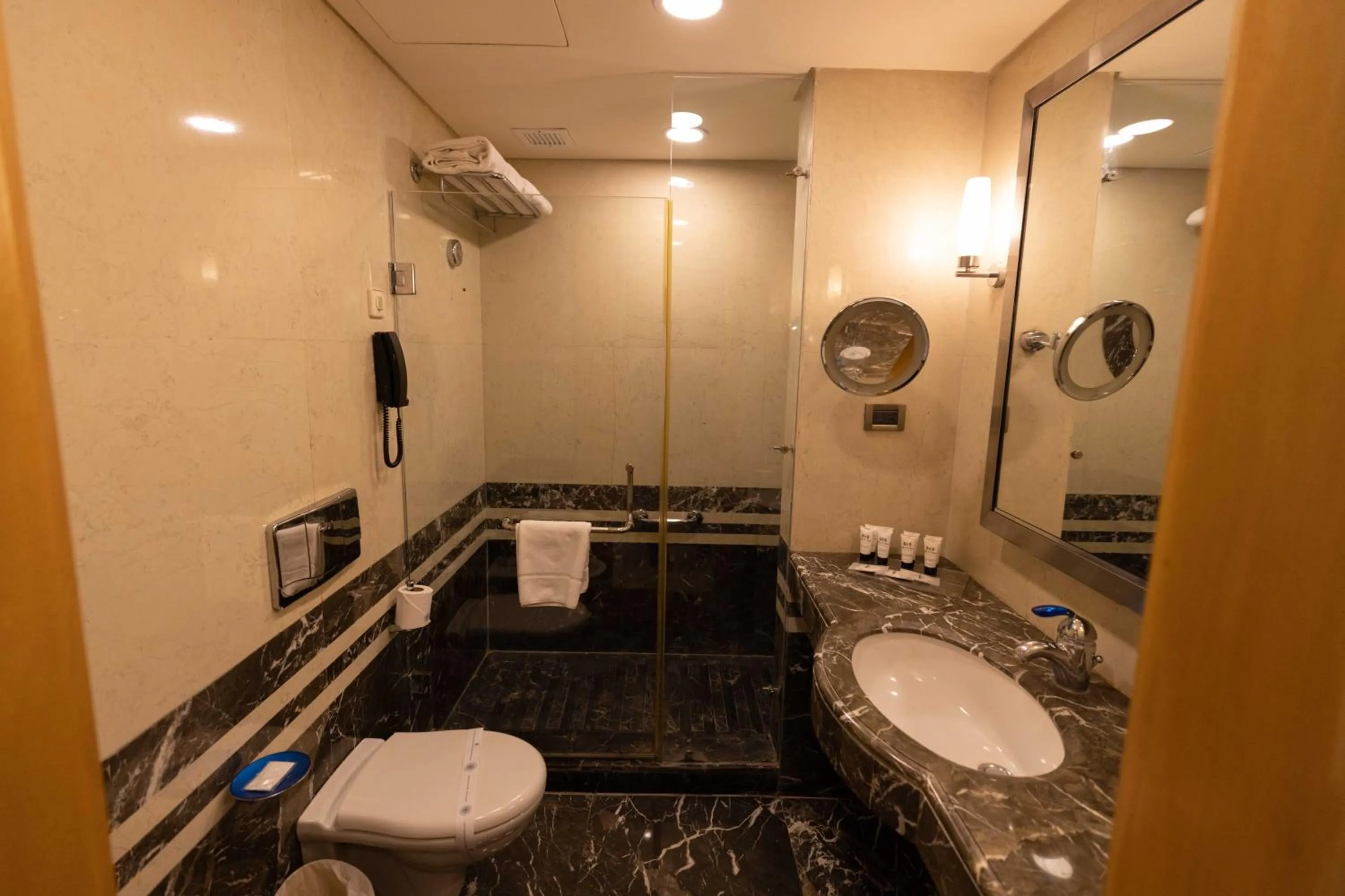 Shower in Coral Beach Hotel And Resort Beirut