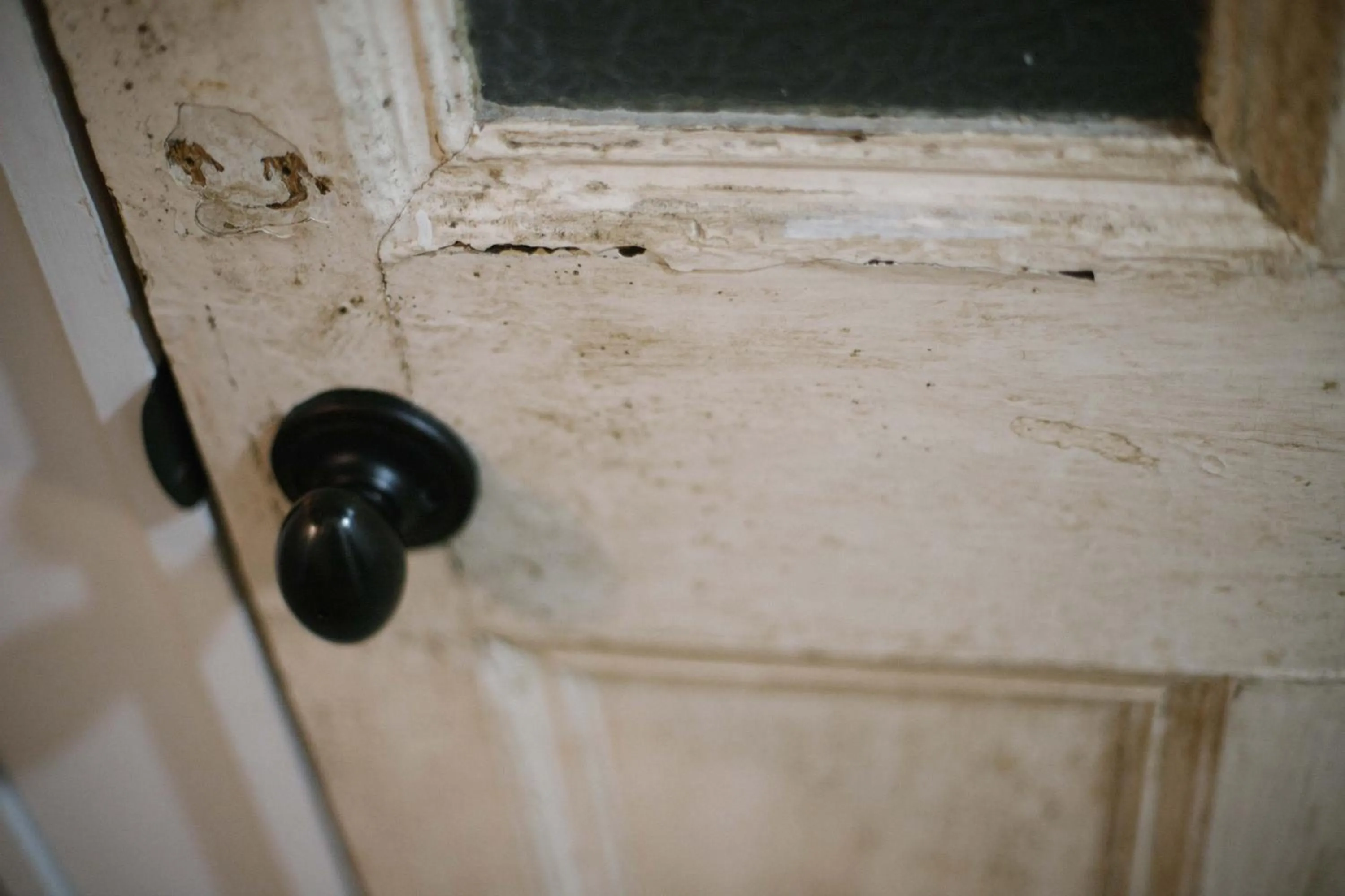 Decorative detail in Sunny Day Hostel