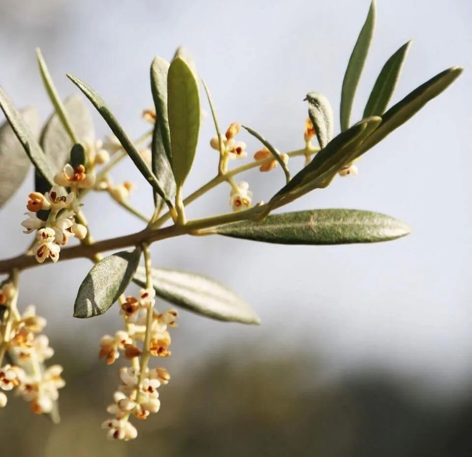 Seasons in Sunny Day Hostel