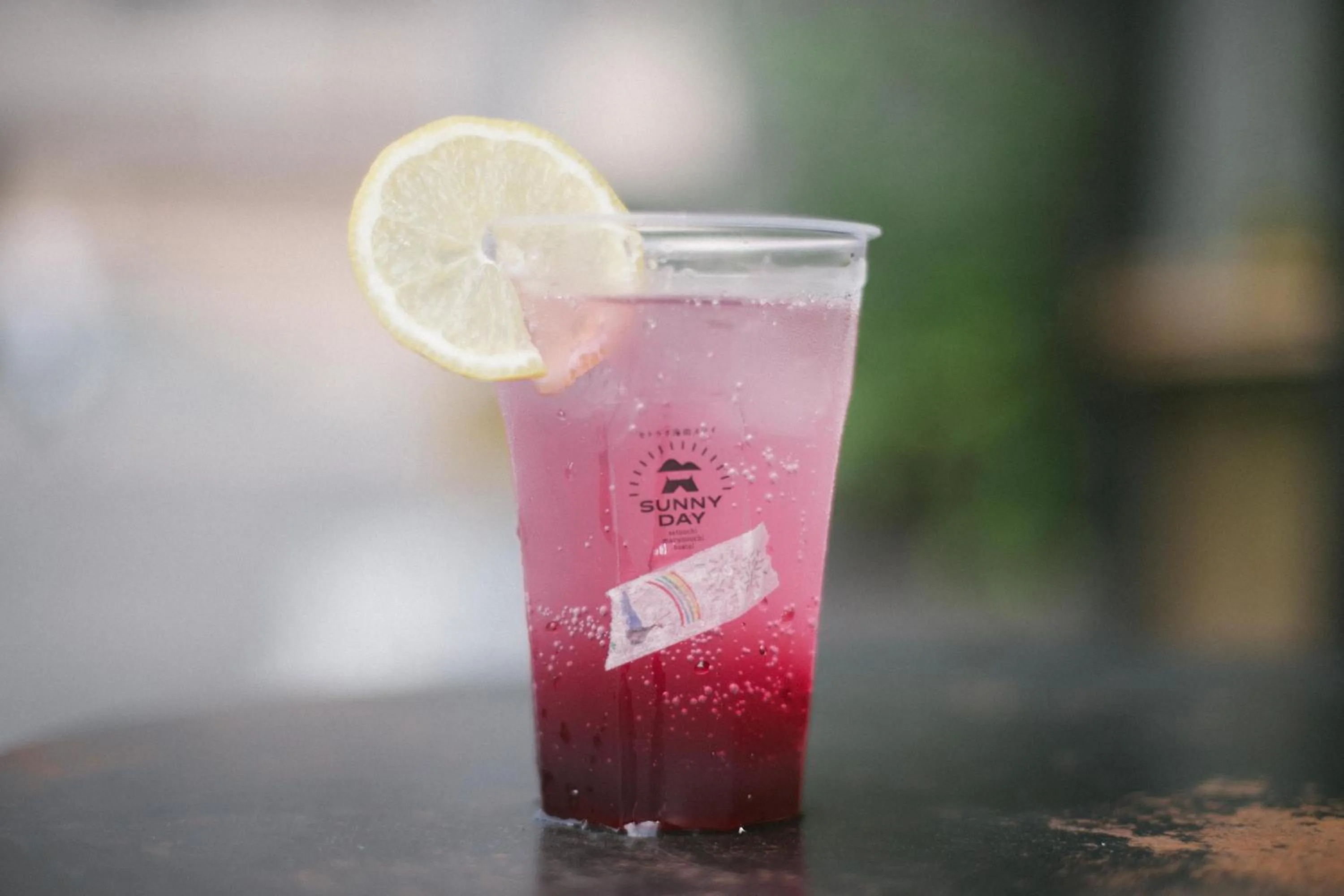 Lounge or bar in Sunny Day Hostel