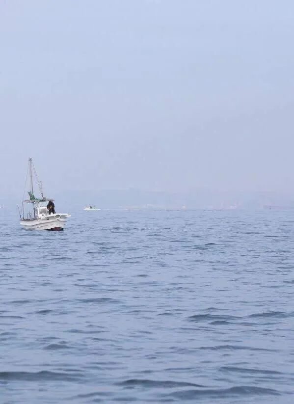 Natural landscape in Sunny Day Hostel