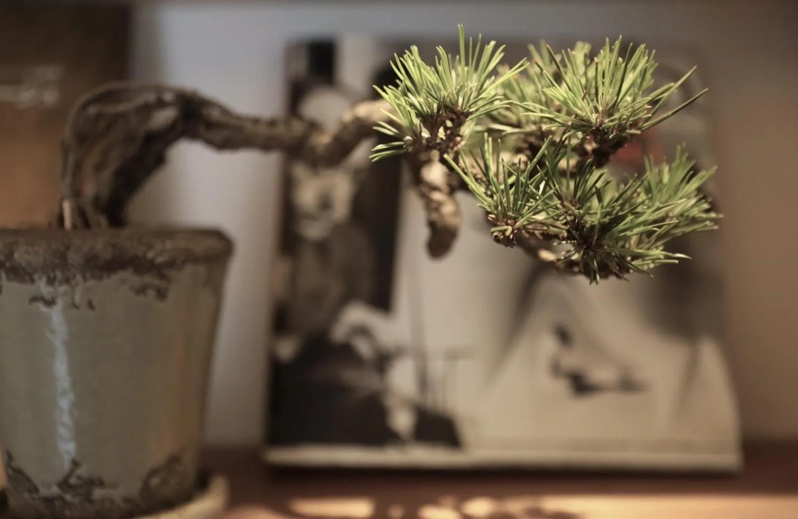 Decorative detail in Sunny Day Hostel