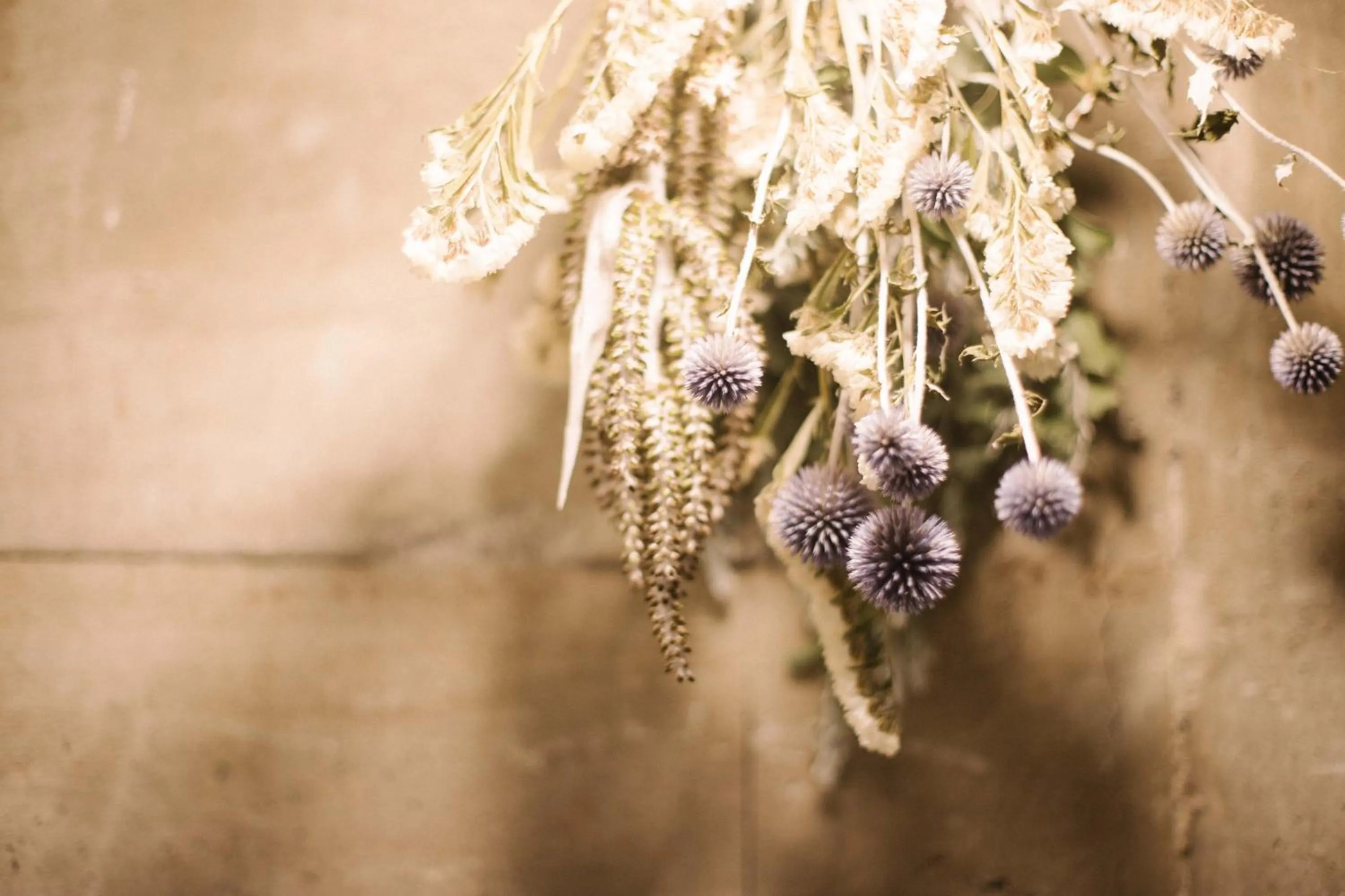 Decorative detail in Sunny Day Hostel