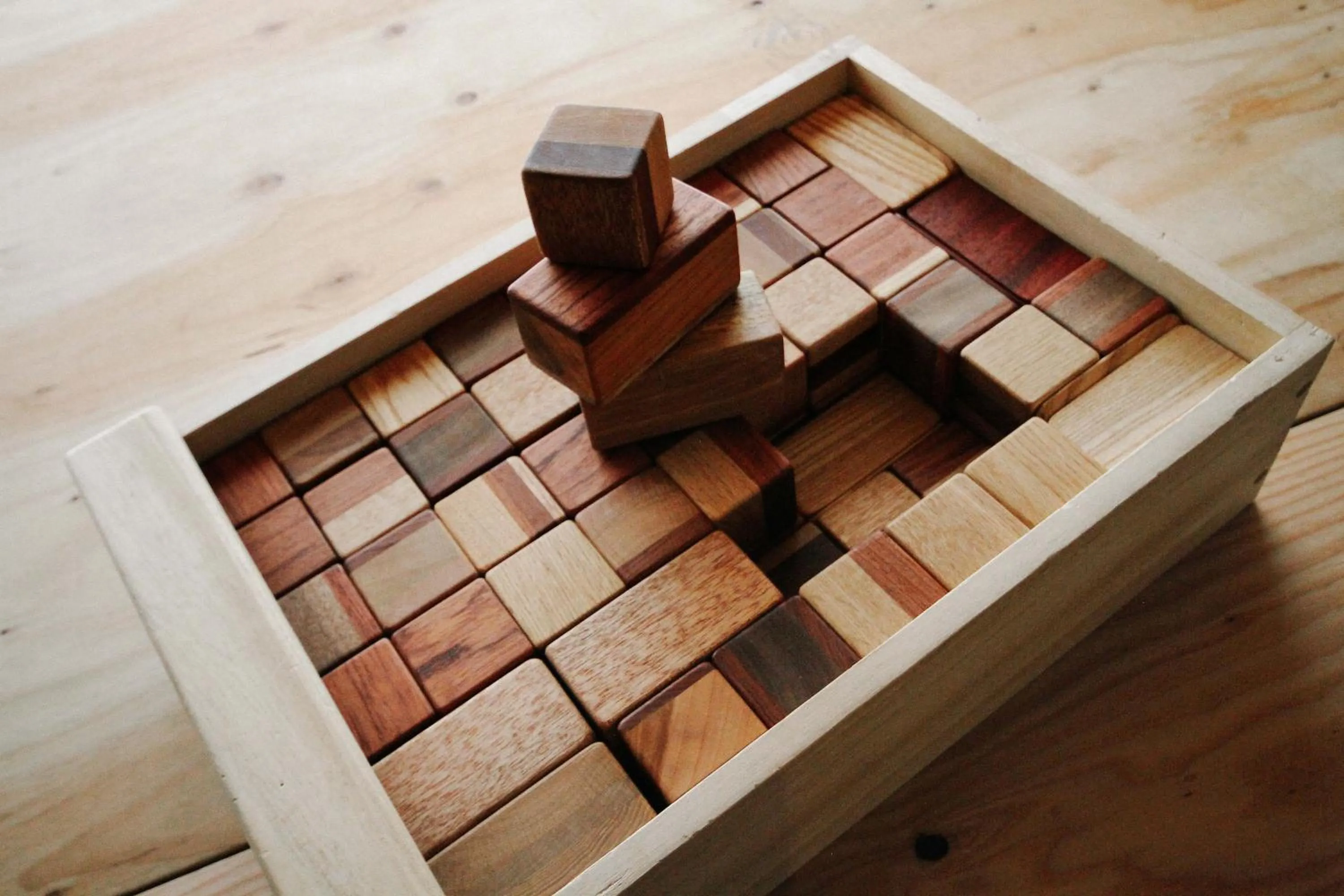 Entertainment in Sunny Day Hostel