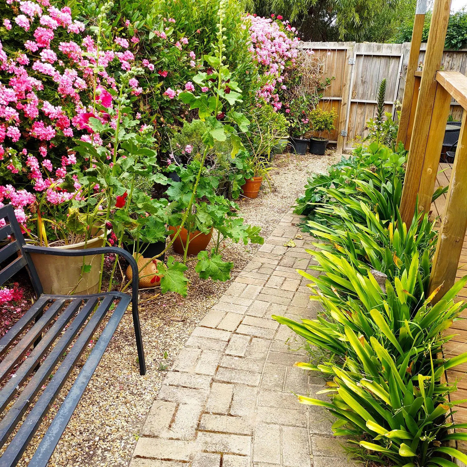 Spring in Gumnut Getaway BnB