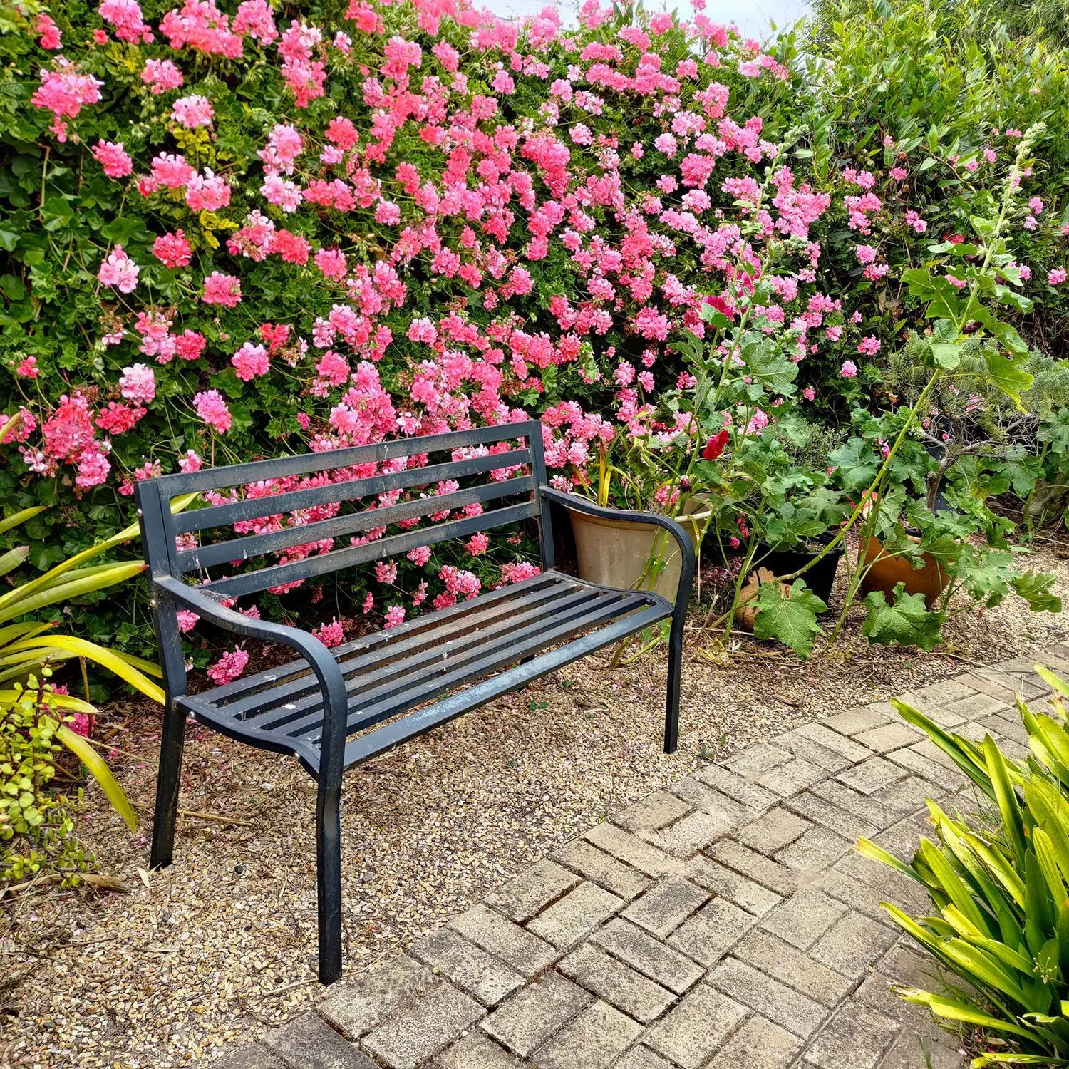 Spring in Gumnut Getaway BnB