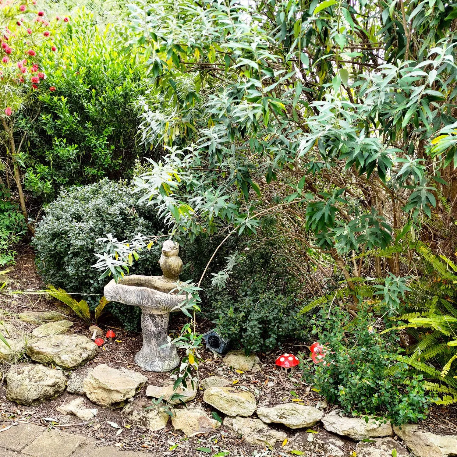 Garden in Gumnut Getaway BnB