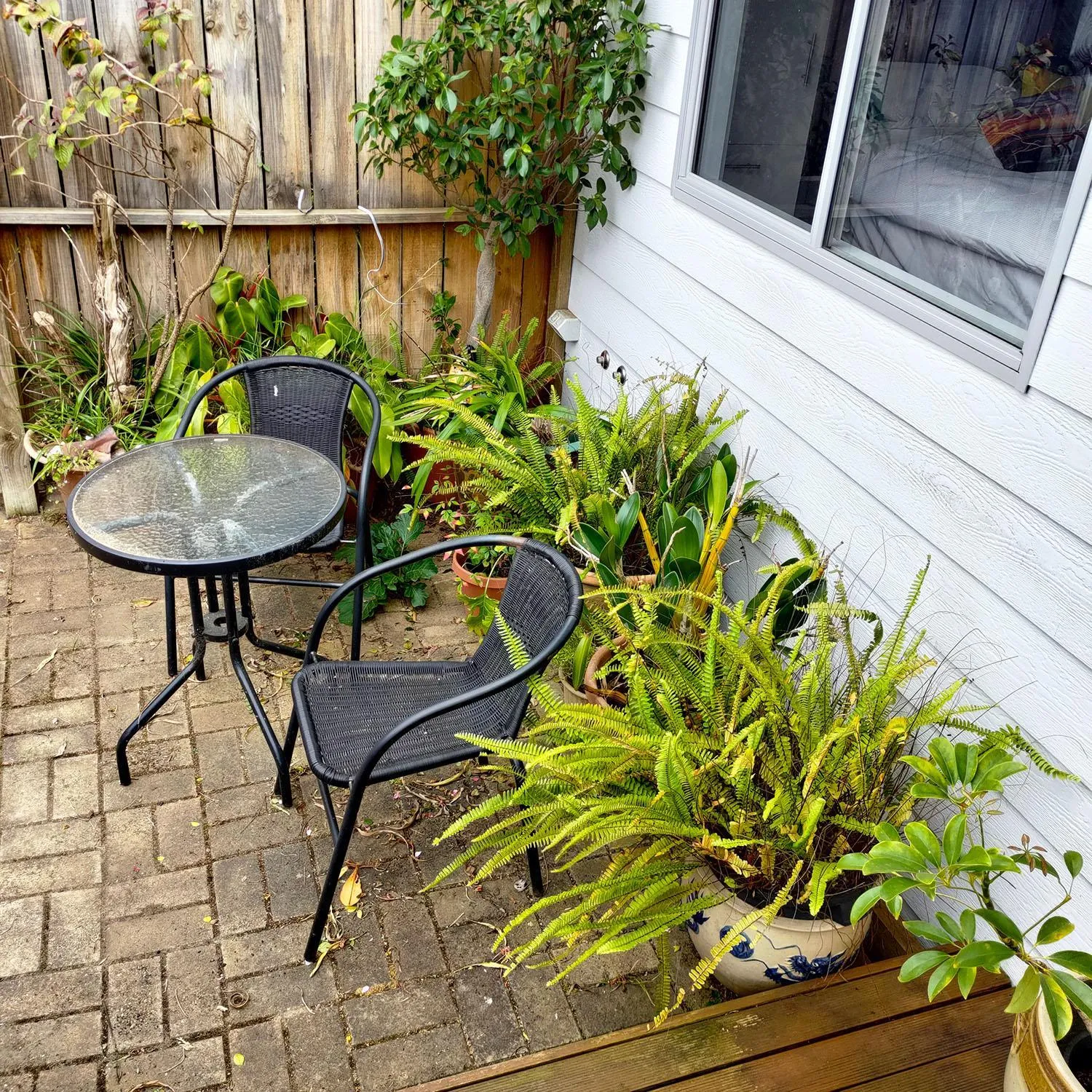 Garden in Gumnut Getaway BnB