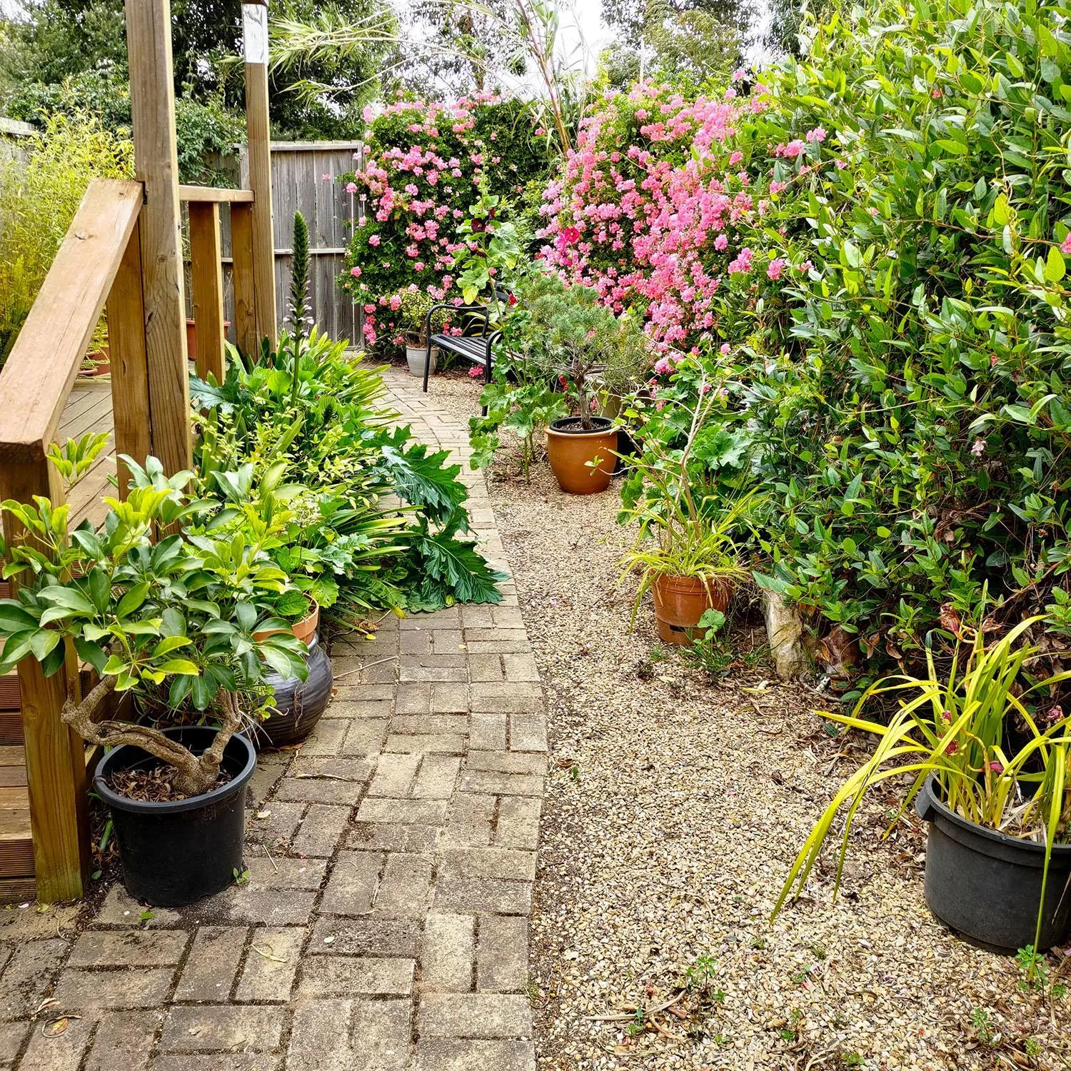 Spring in Gumnut Getaway BnB