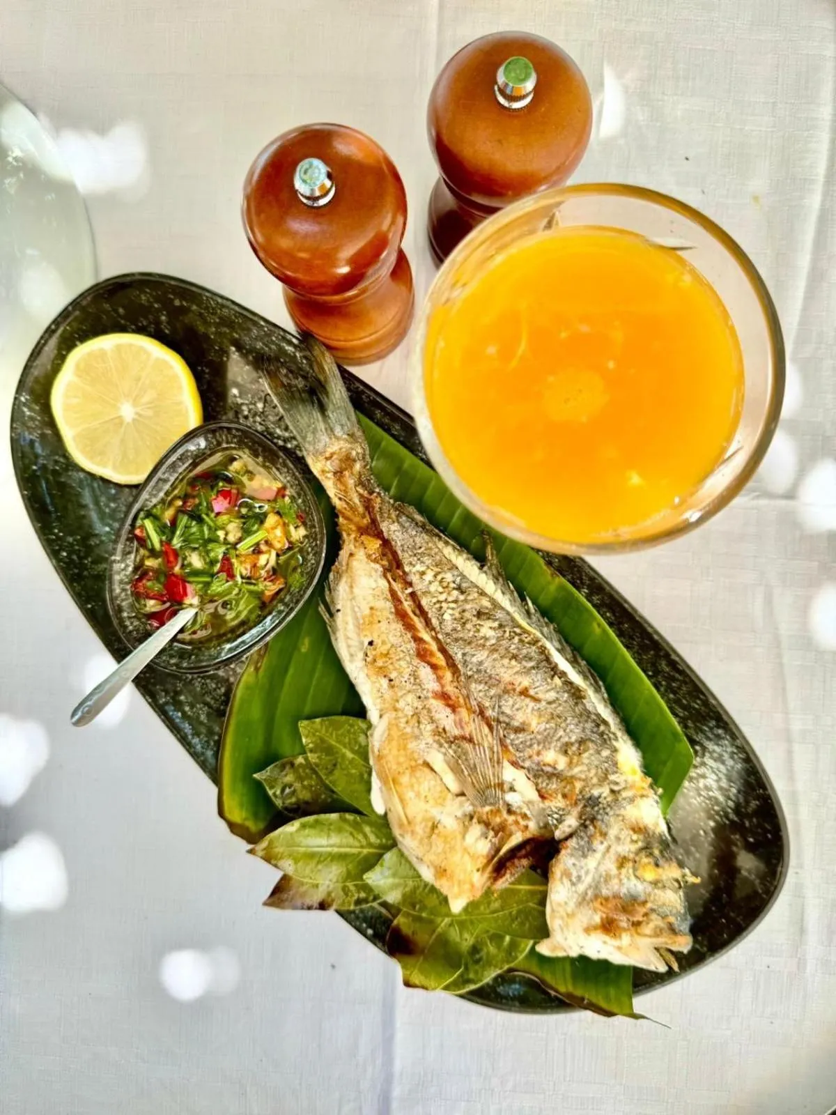 Vila Rahmi & Veli Dervishaj