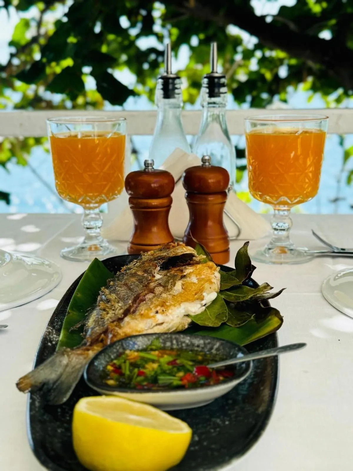 Vila Rahmi & Veli Dervishaj