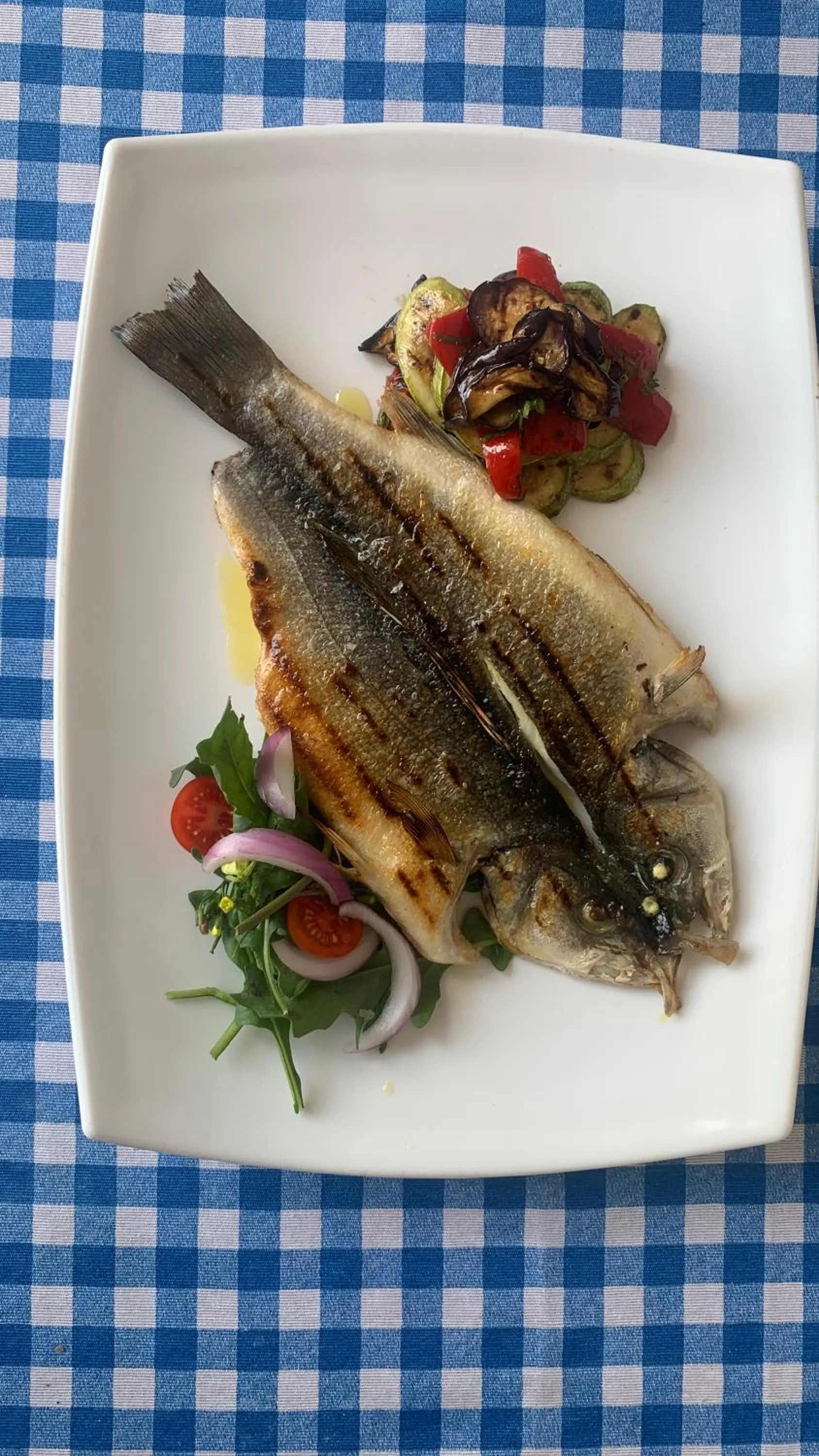 Vila Rahmi & Veli Dervishaj