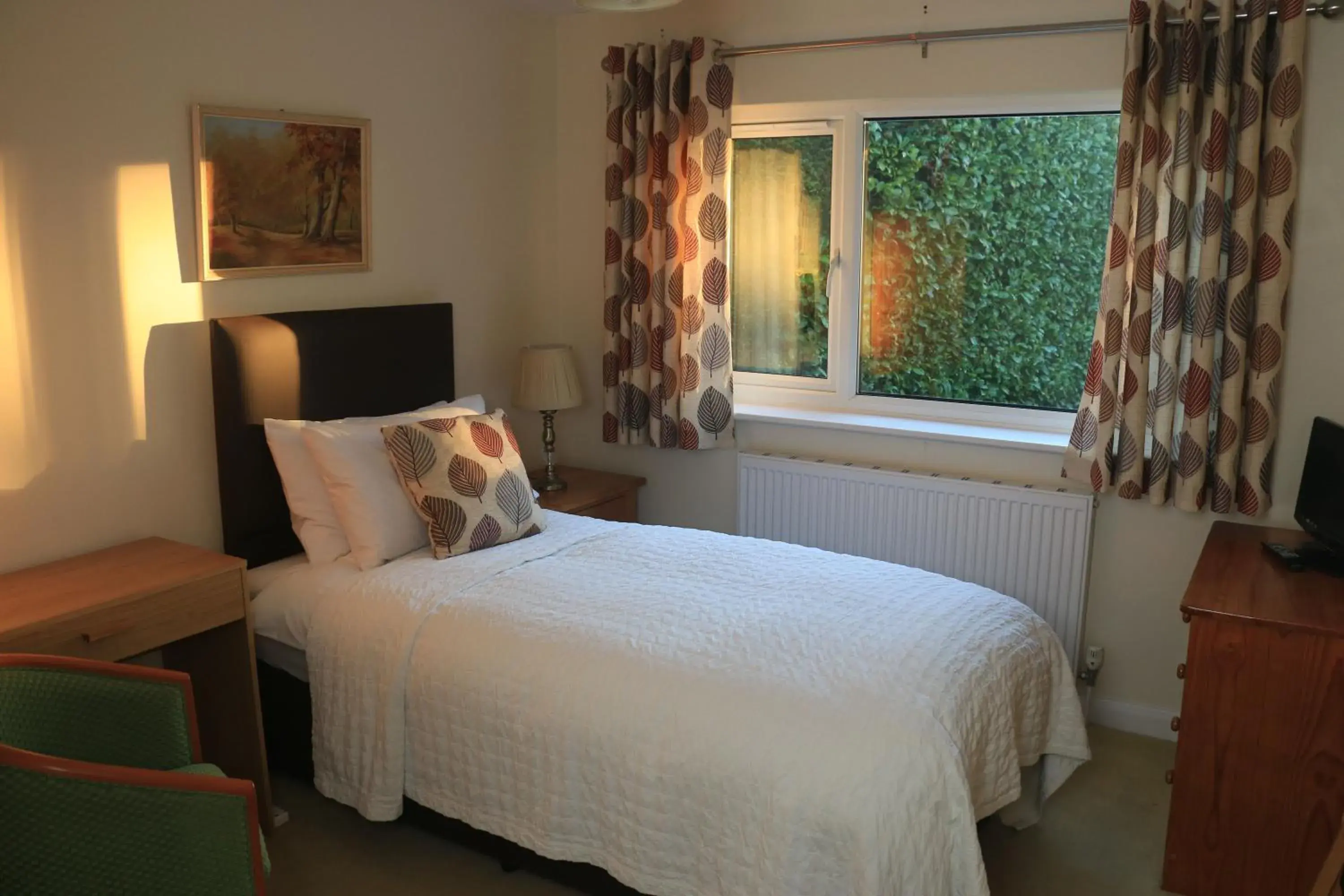 Single Room with Garden View in Dawyk Beech Guesthouse Single Room with Garden View in Dawyk Beech Guesthouse