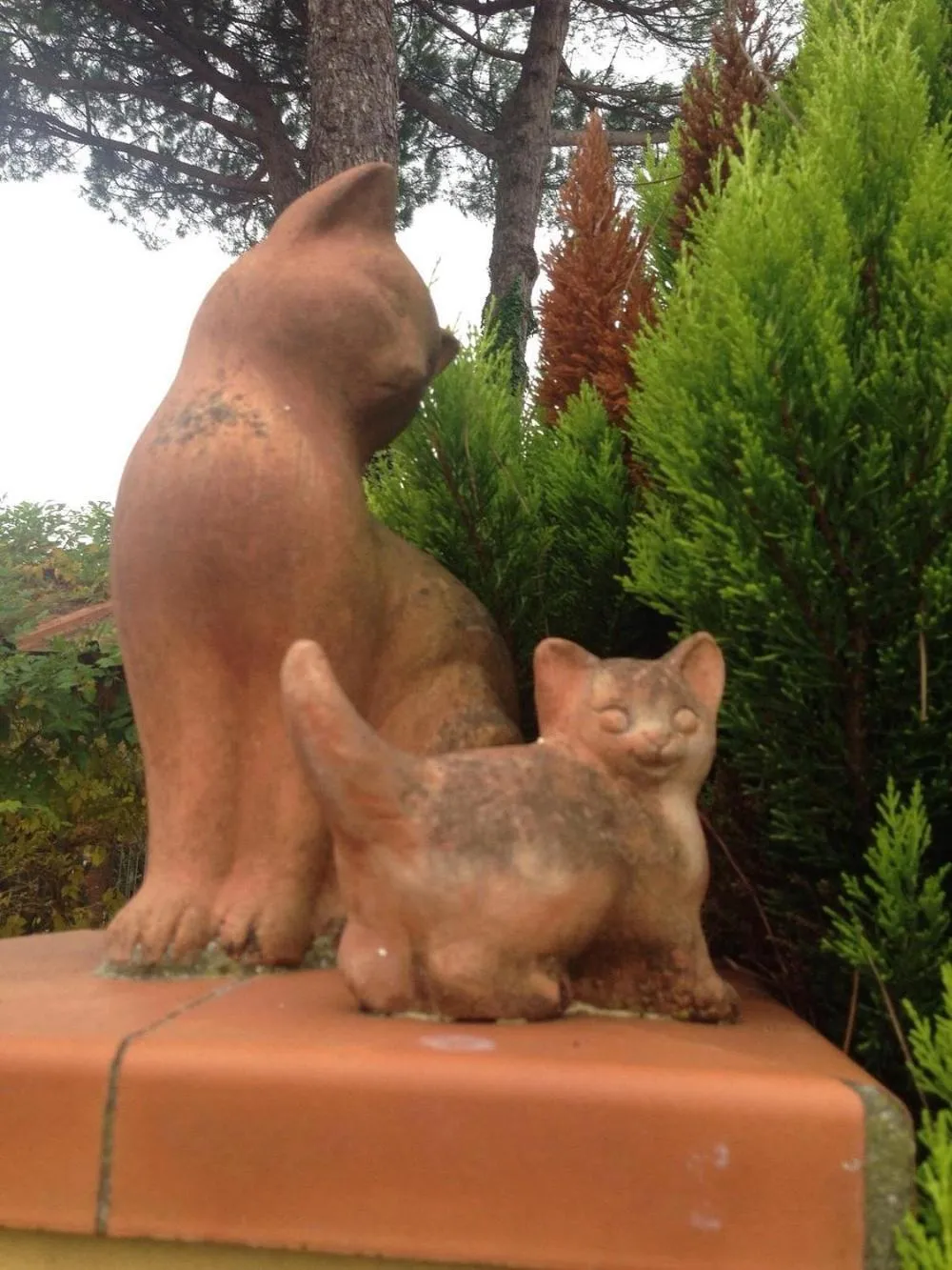 Pets in B&B Il Casale di Nanni