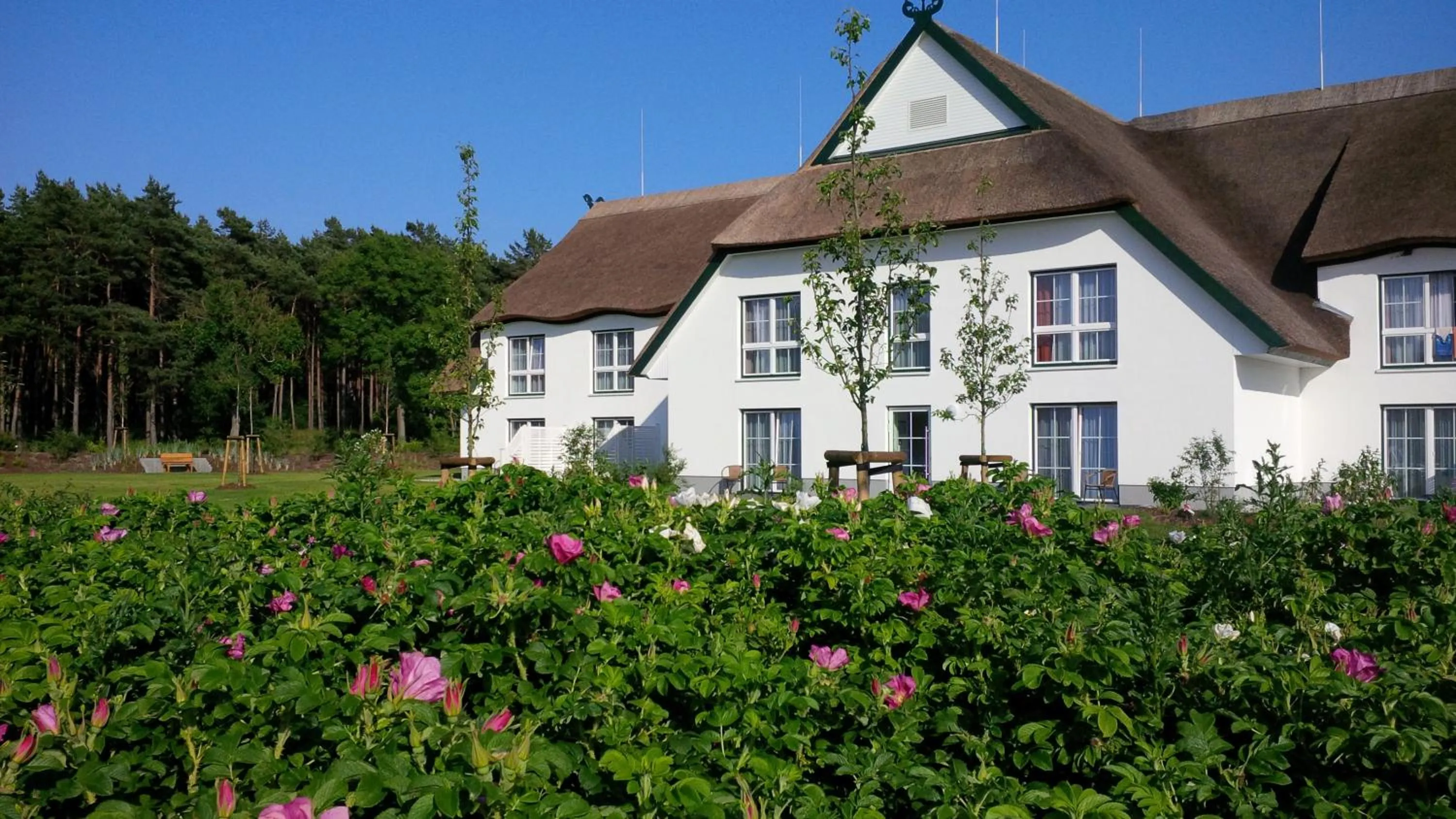 Property building in Friesenhof Hotel-Restaurant-Reitanlage