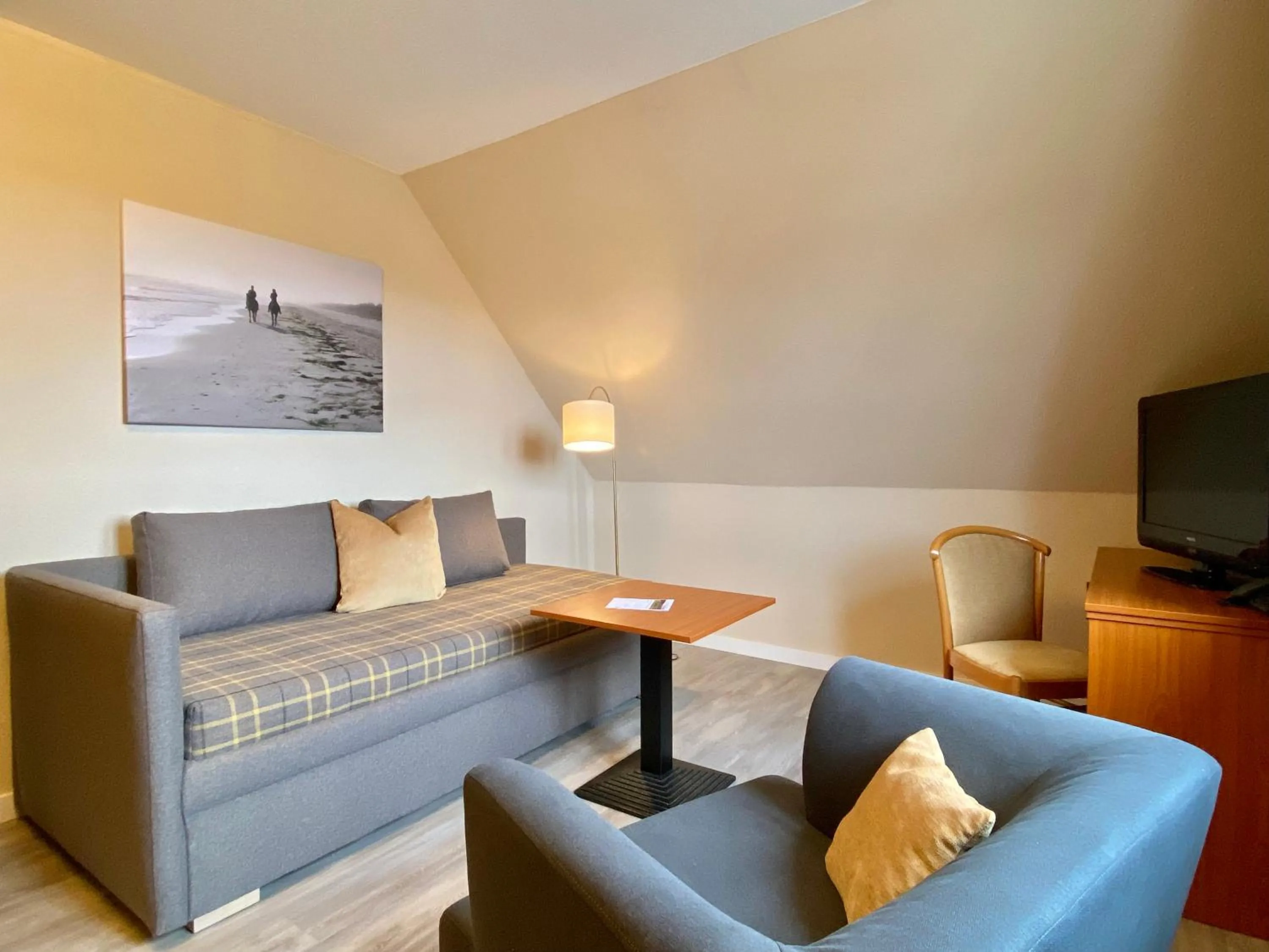 TV and multimedia in Friesenhof Hotel-Restaurant-Reitanlage