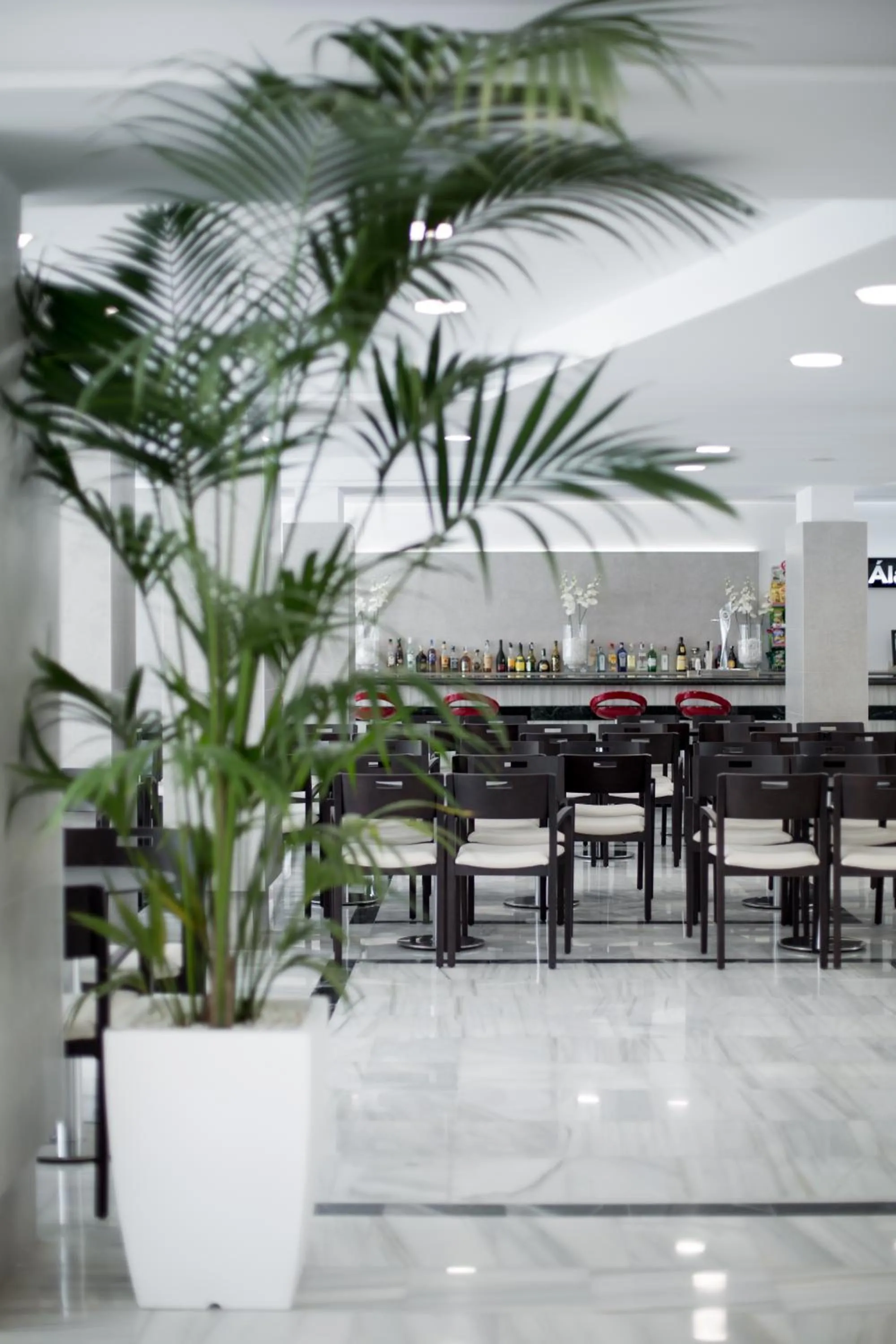 Lounge or bar in Los Álamos