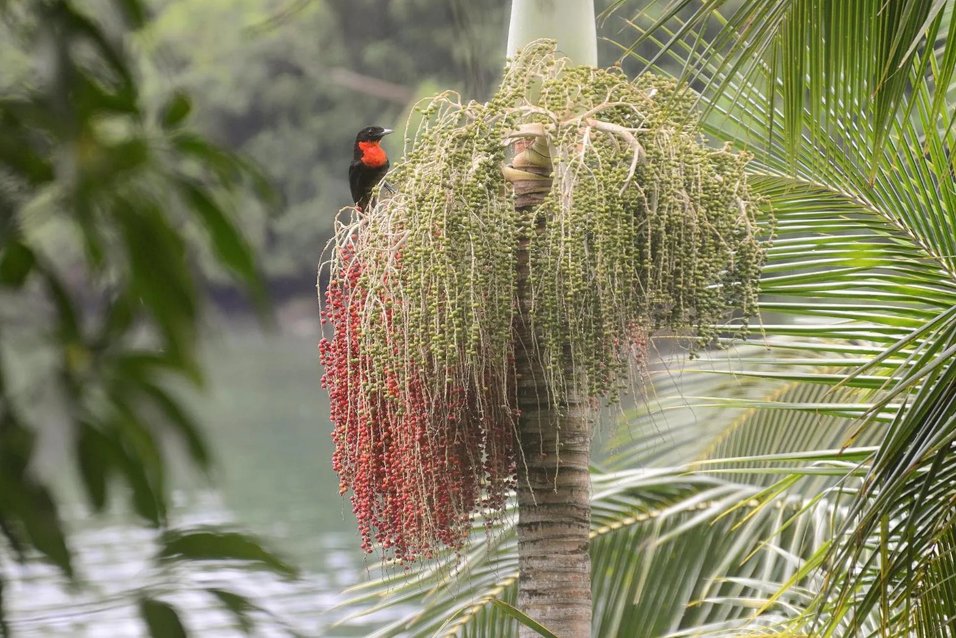 Natural landscape in Asalem