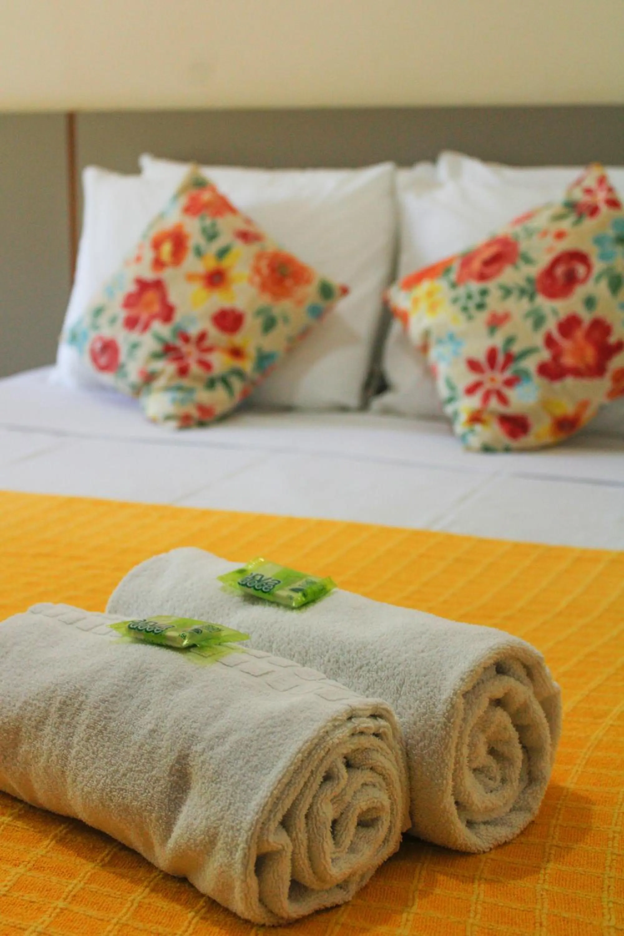 Lonier Praia Inn Flats