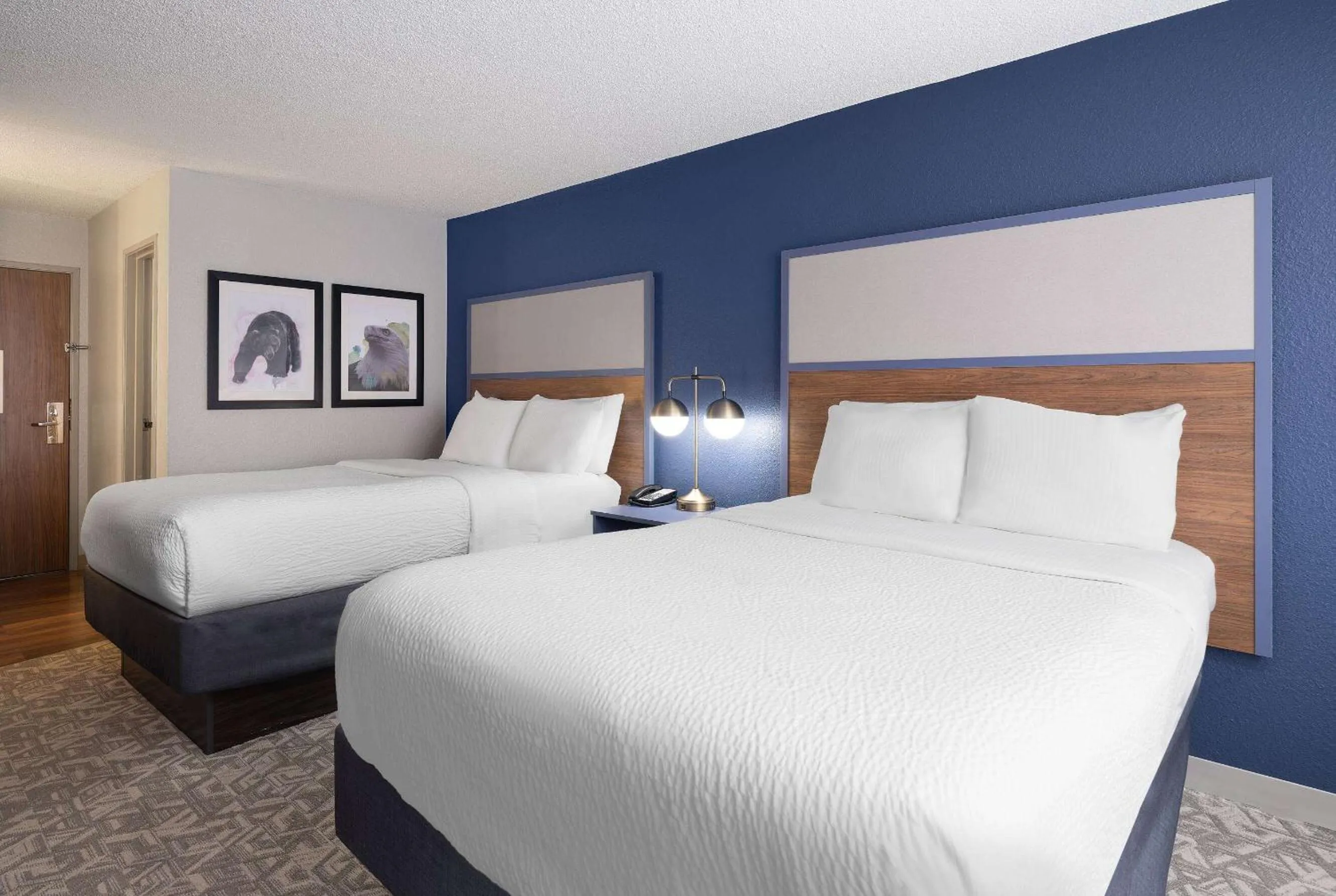 Photo of the whole room, Bed in AmericInn by Wyndham Casper Event Center Area