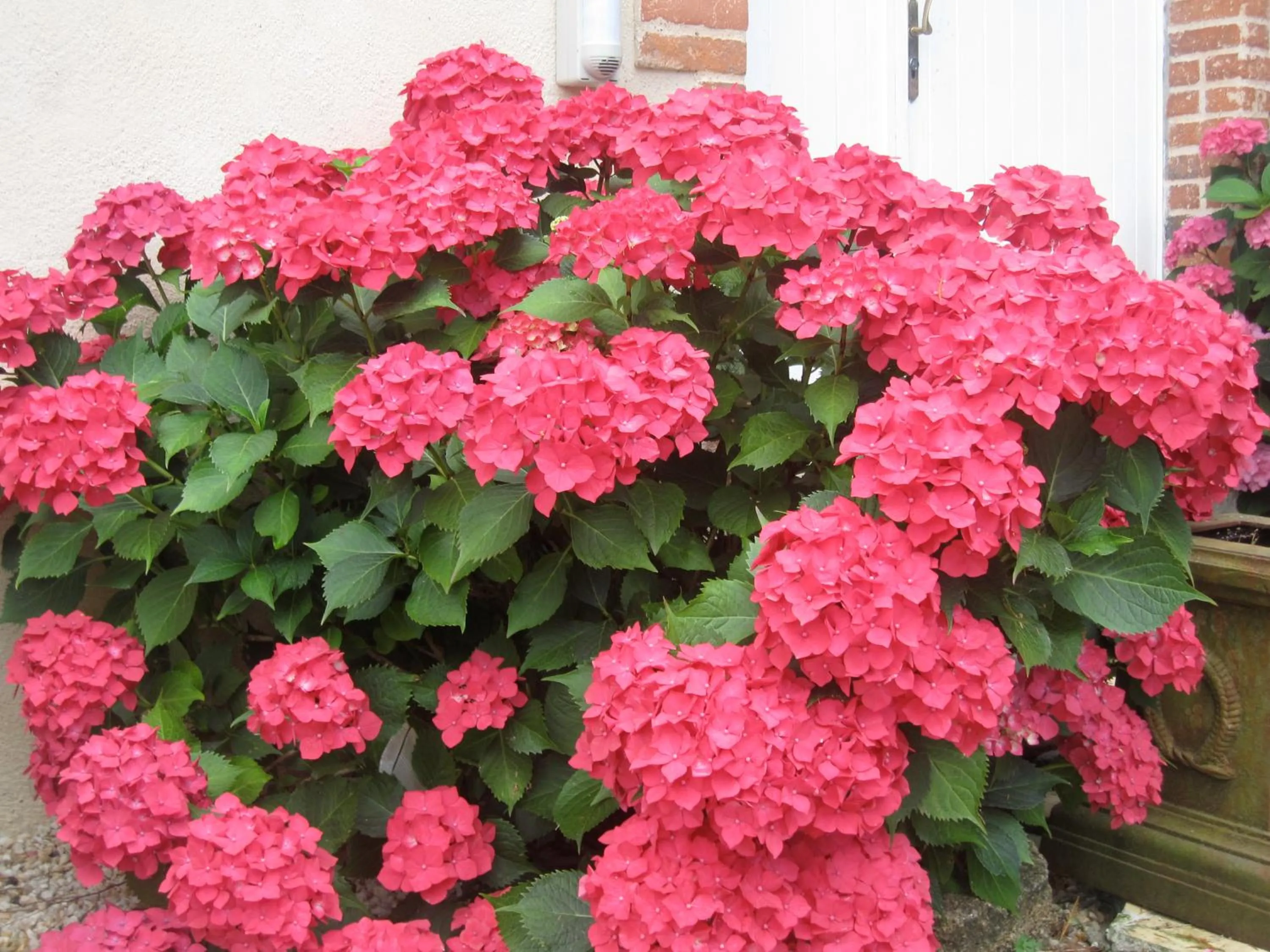 Garden in Relais de Chasse la Chaignaie