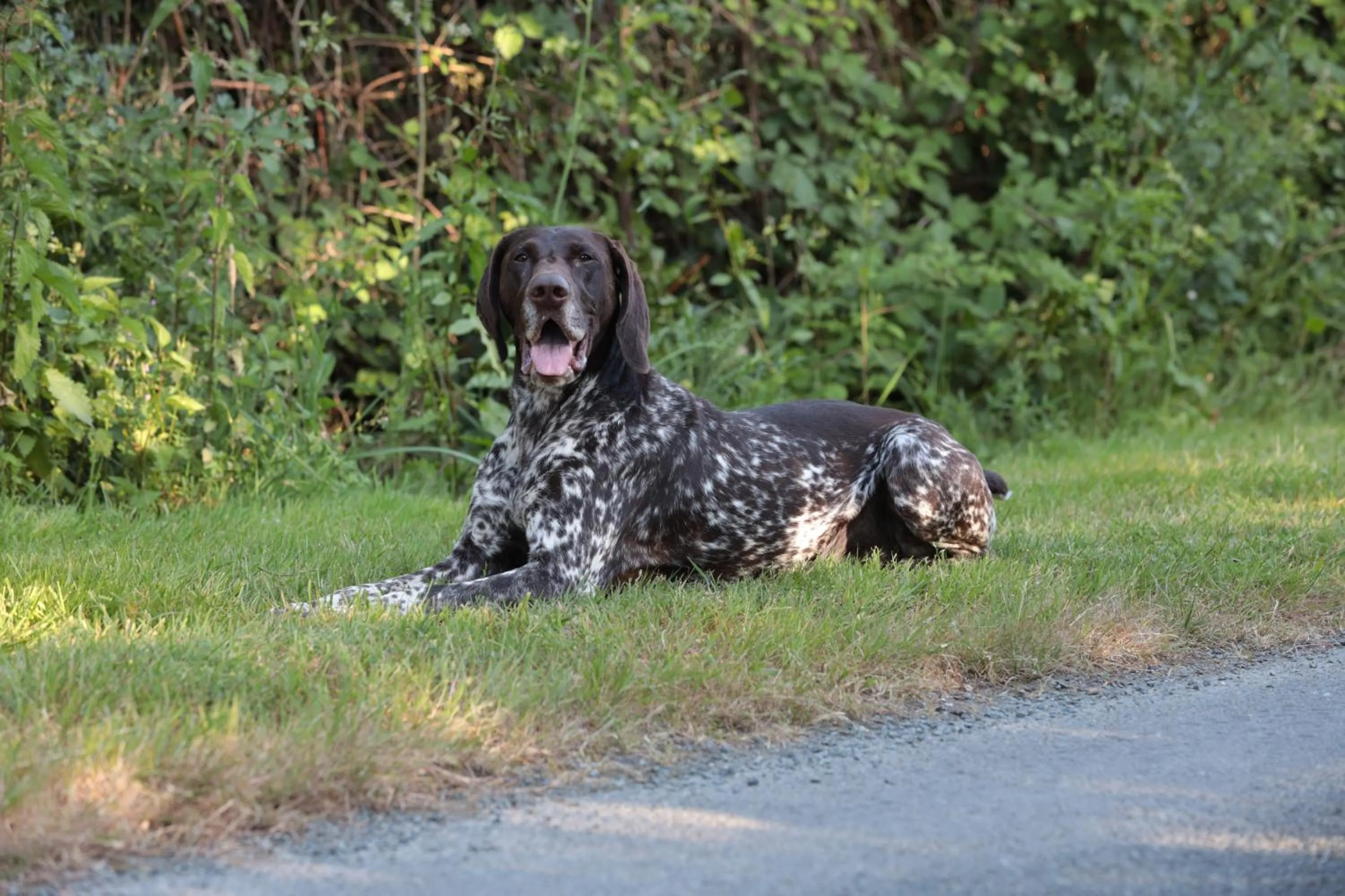 Staff in Relais de Chasse la Chaignaie