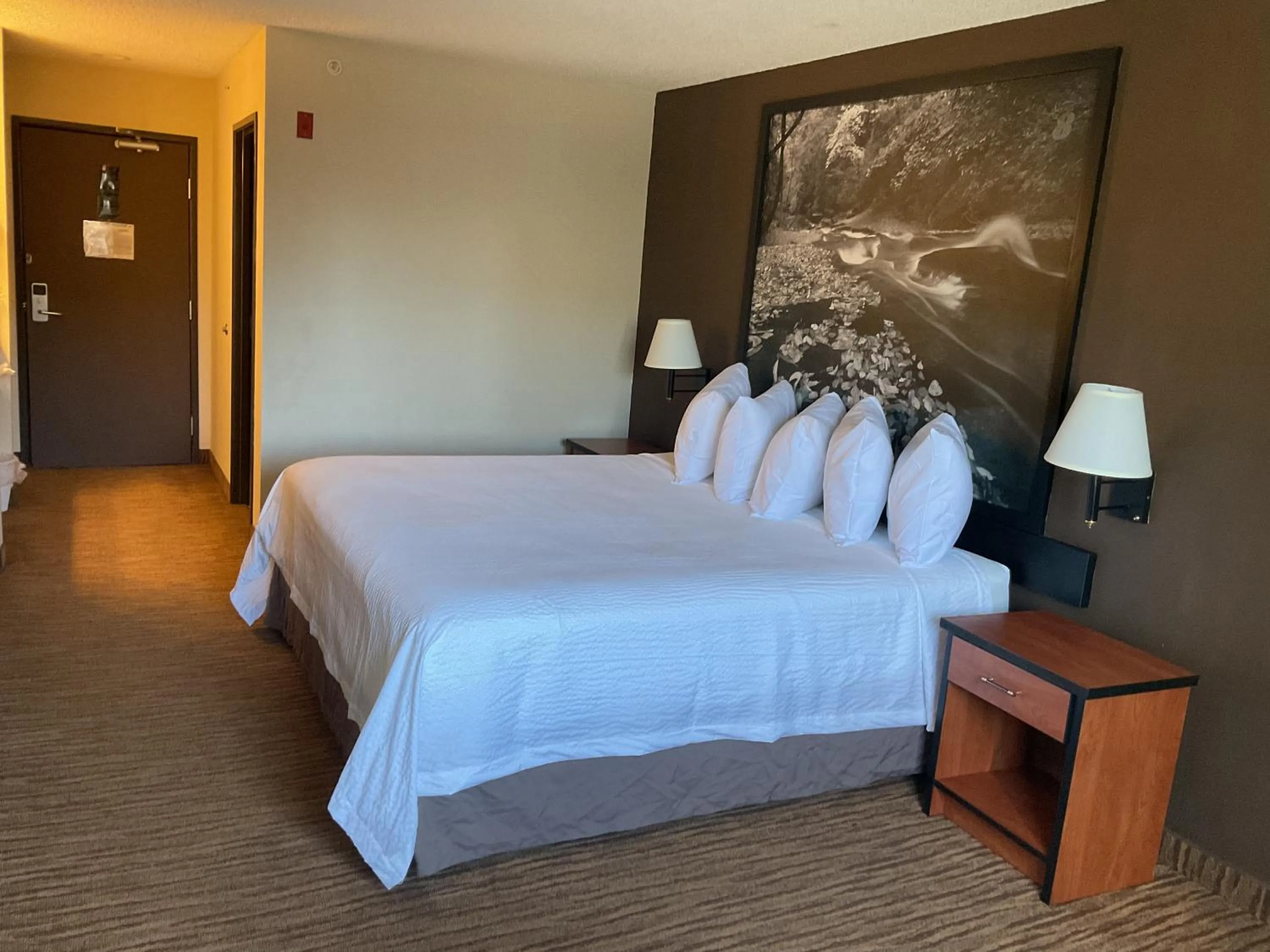 Bed in Super 8 by Wyndham Colorado Springs Airport