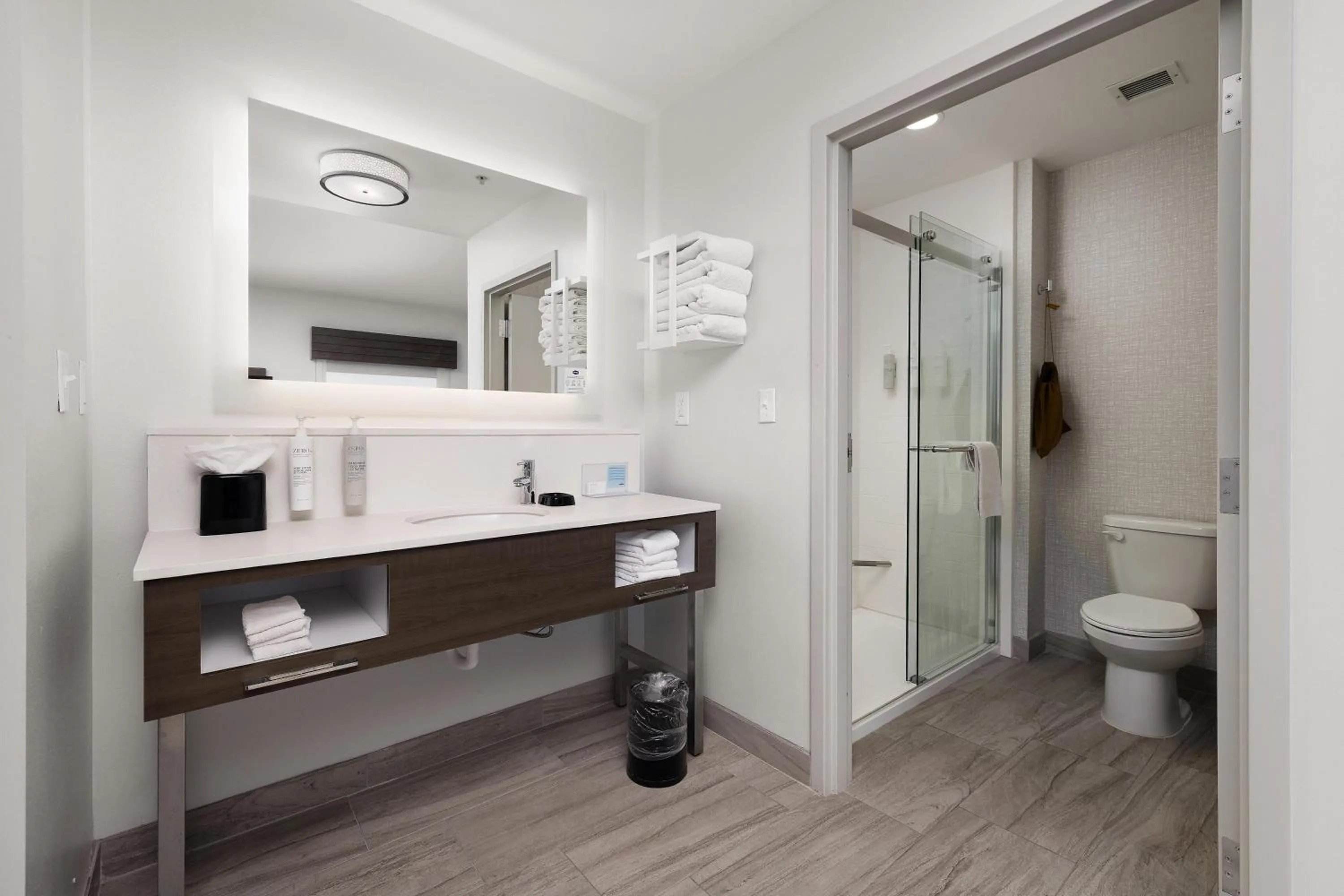 Bathroom in Hampton Inn & Suites McAllen