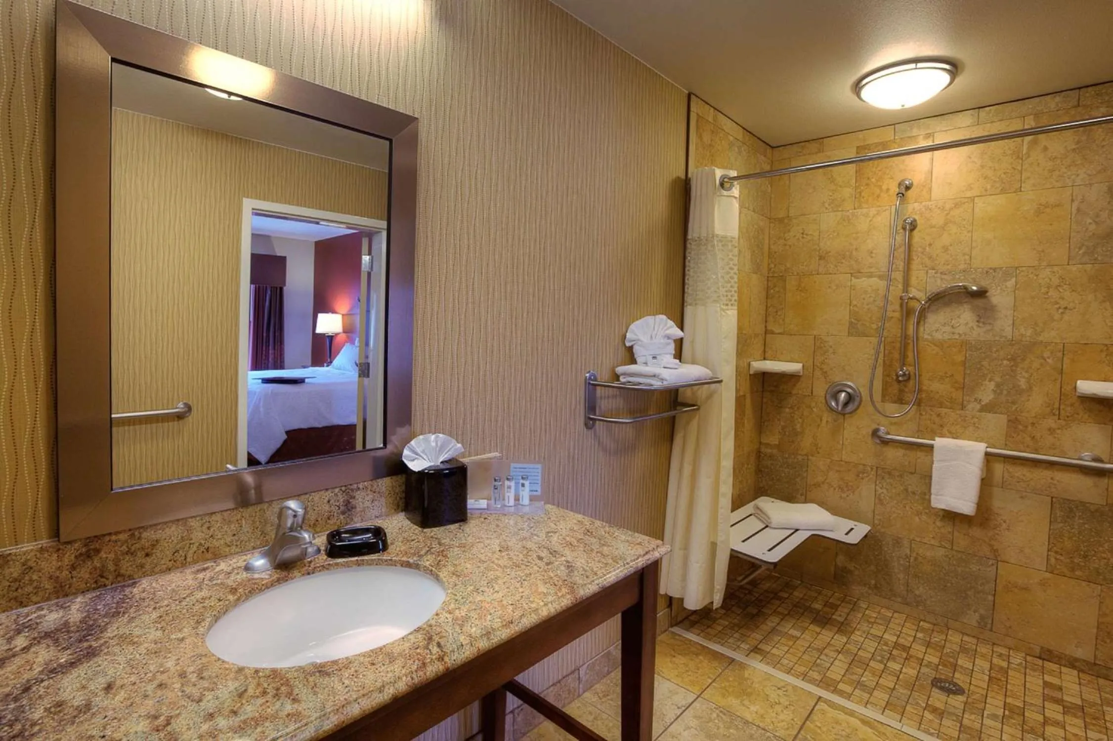 Bathroom in Hampton Inn & Suites McAllen