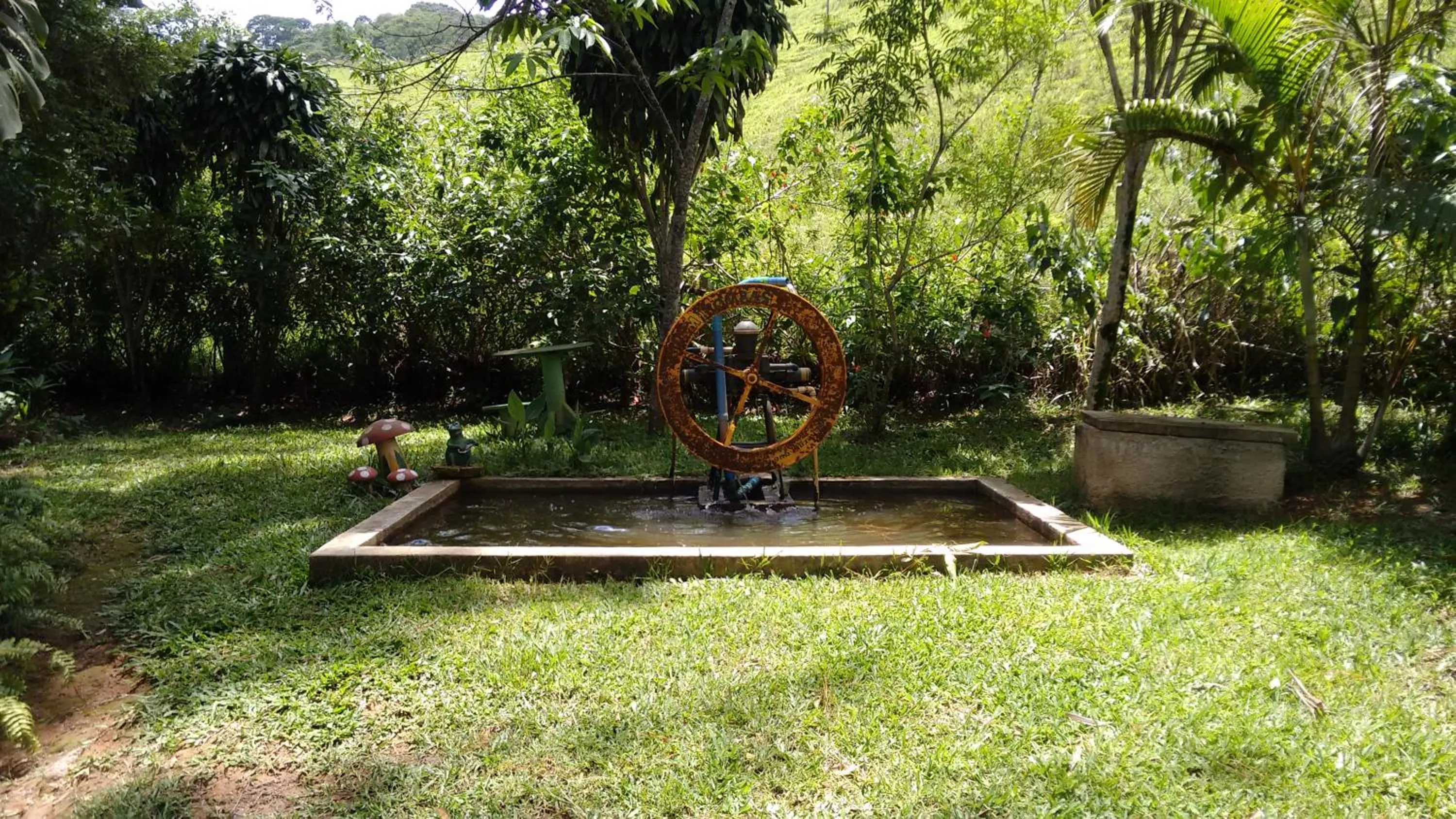 Garden in Hotel Fazenda Sao Sebastiao