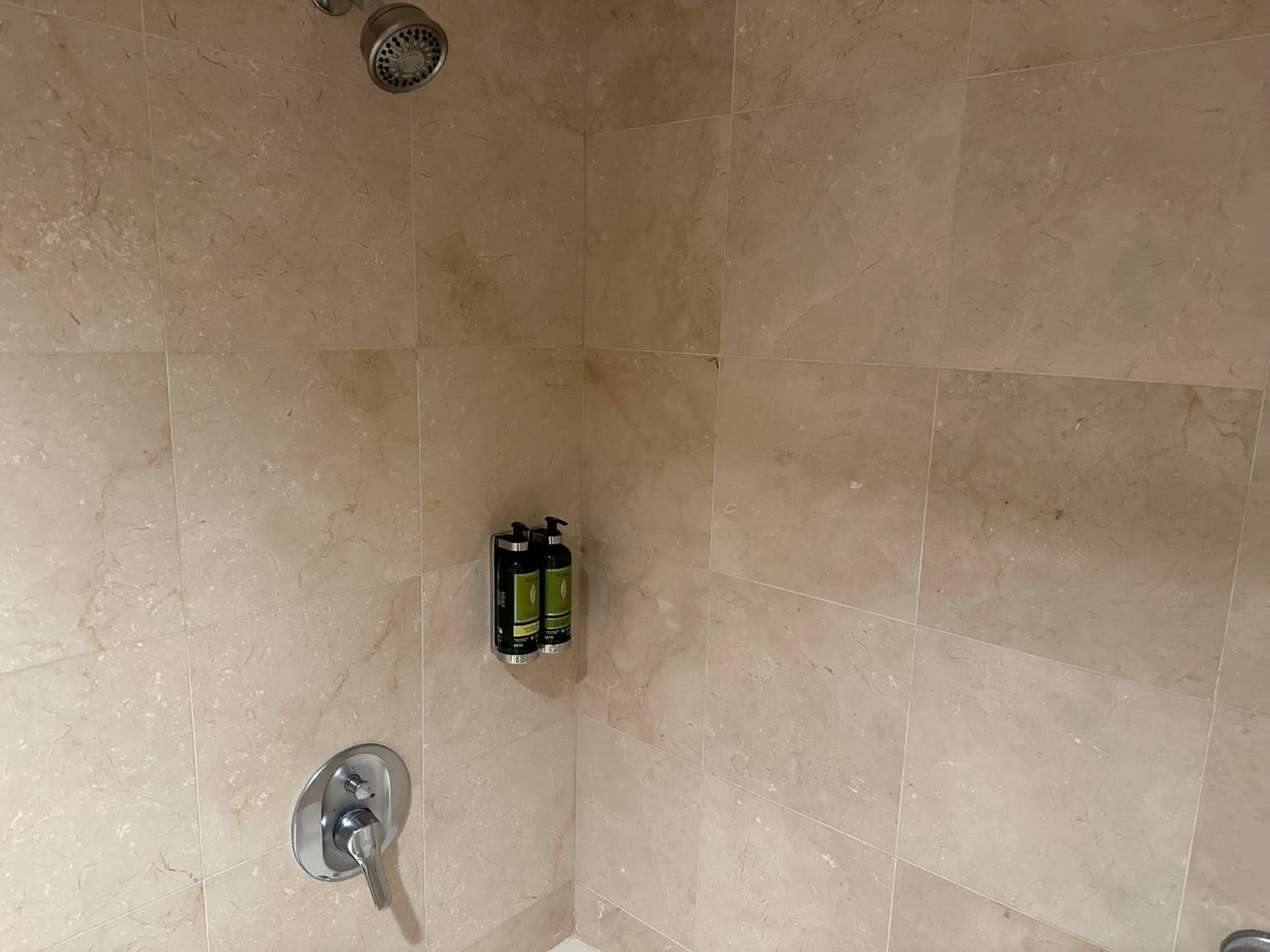 Shower in Oxford Palace Hotel