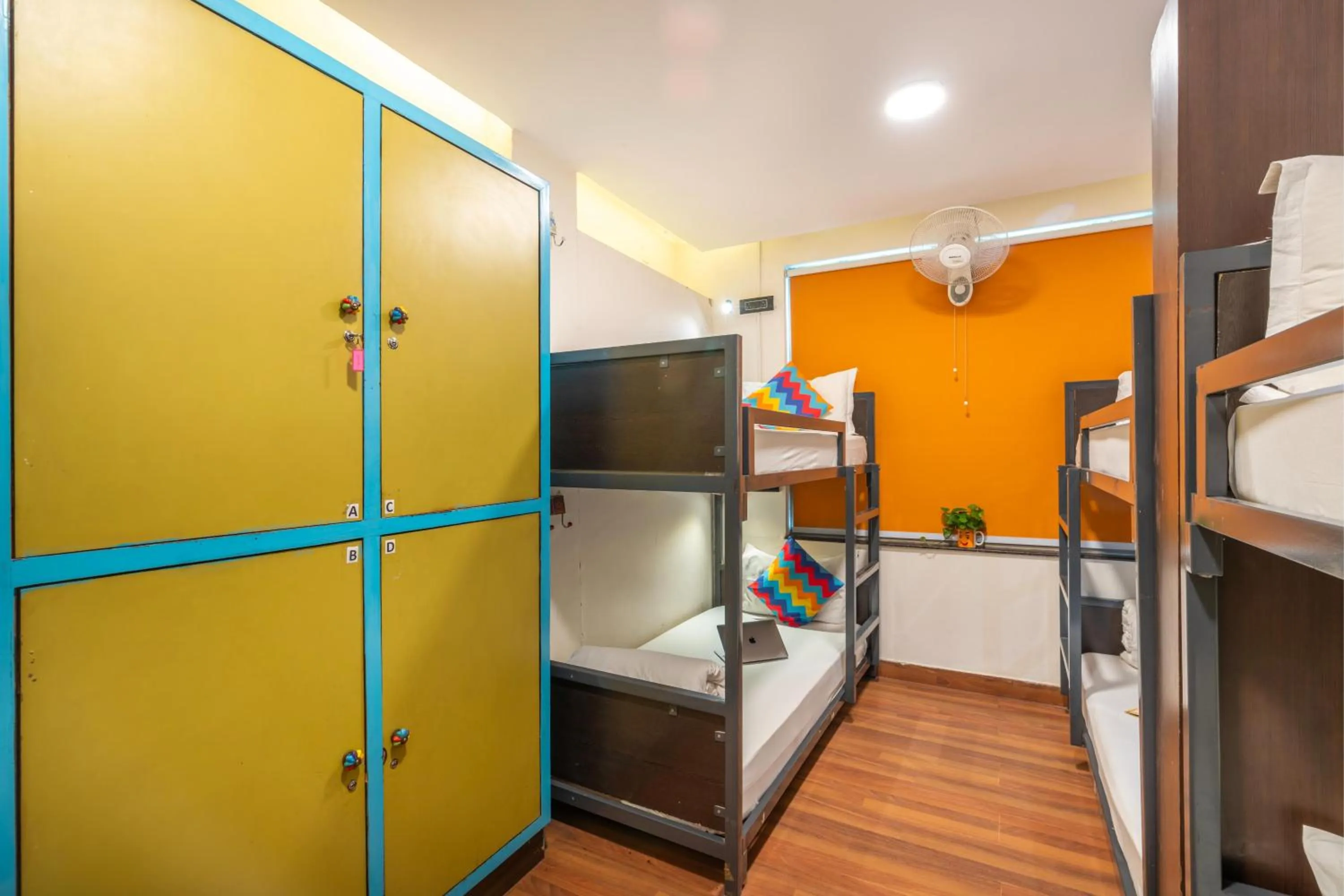 bunk bed, Bed in goSTOPS Delhi