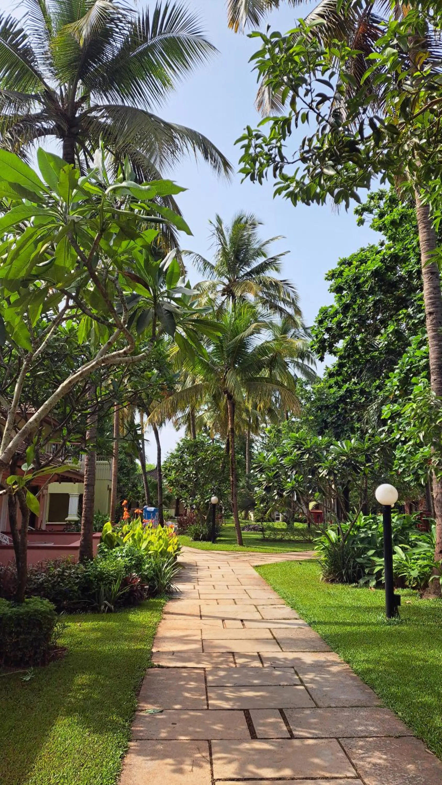 Garden in Novotel Goa Dona Sylvia Resort