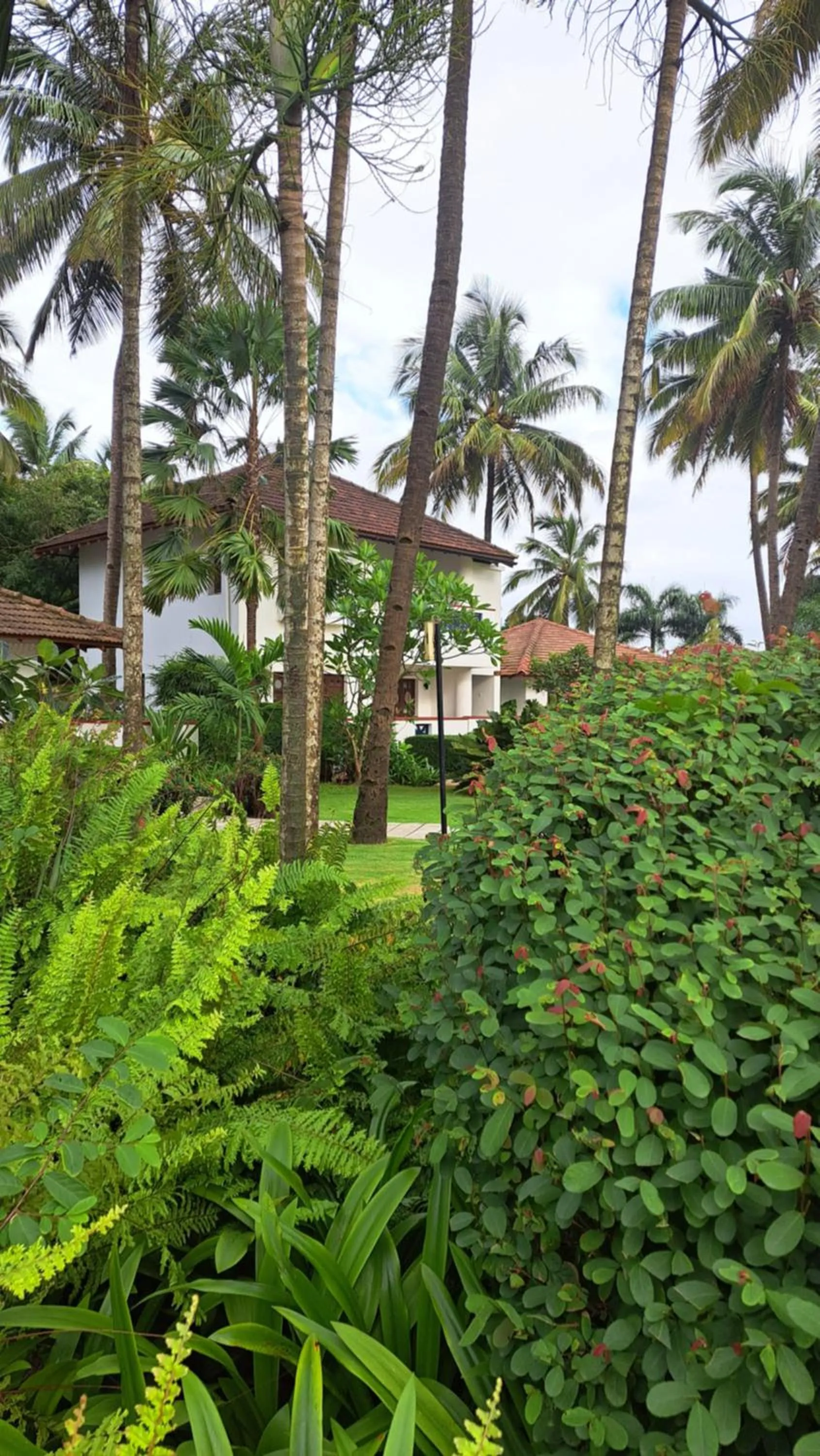 Garden view in Novotel Goa Dona Sylvia Resort