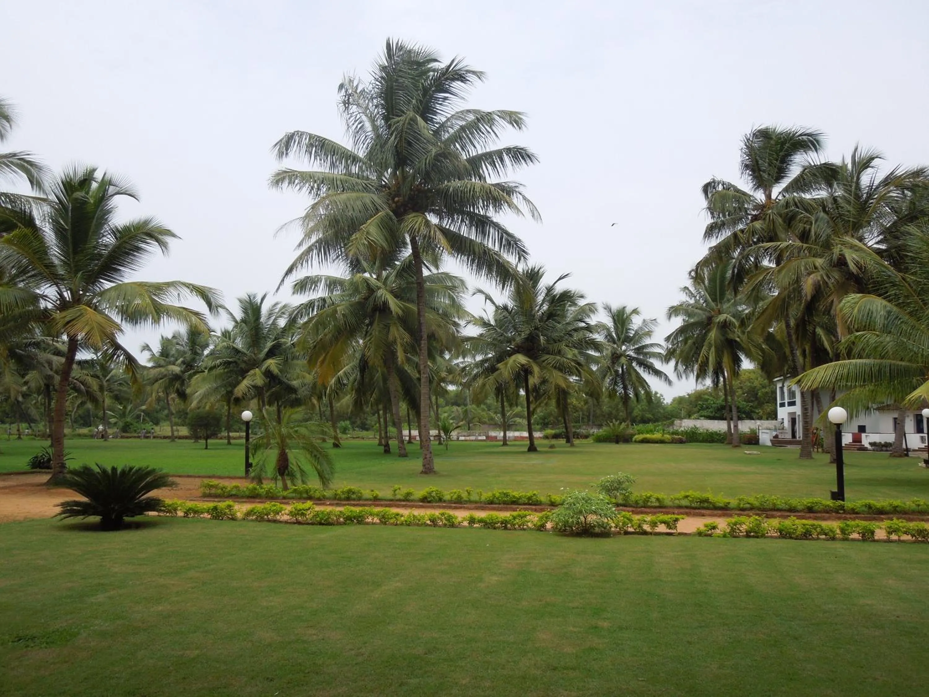 Day in Novotel Goa Dona Sylvia Resort