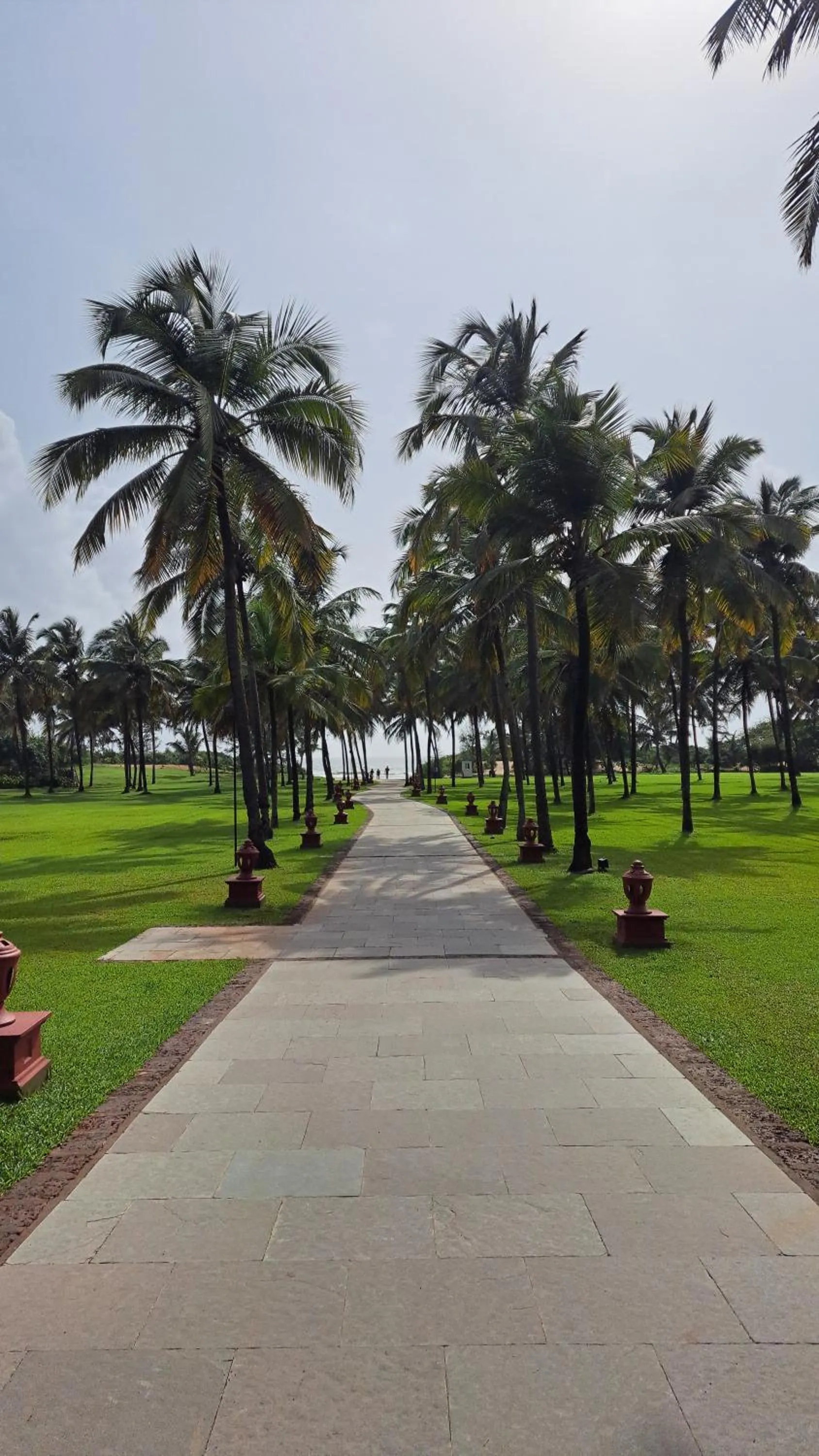 Beach in Novotel Goa Dona Sylvia Resort