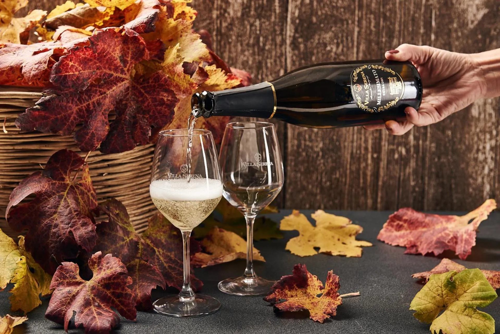 Autumn in Villa Serena Agriturismo