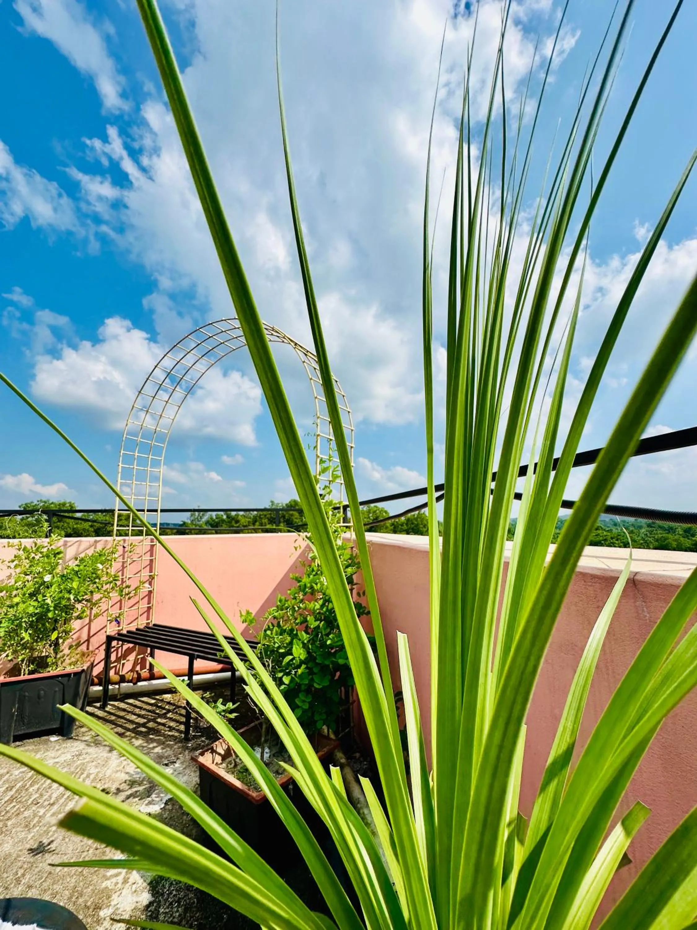 Natural landscape in Grand Selim Resort & Tour – GSRT