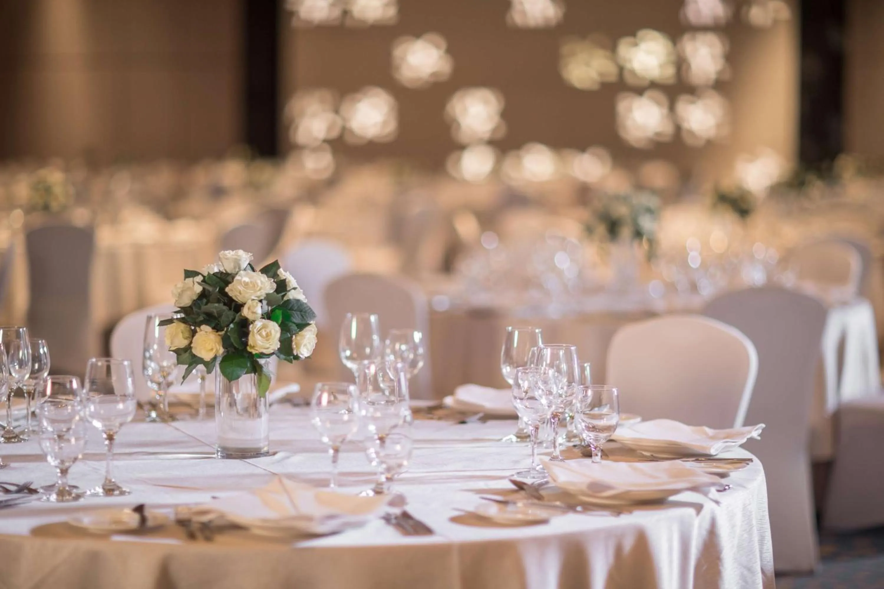 Banquet/Function facilities in Radisson Blu Cebu