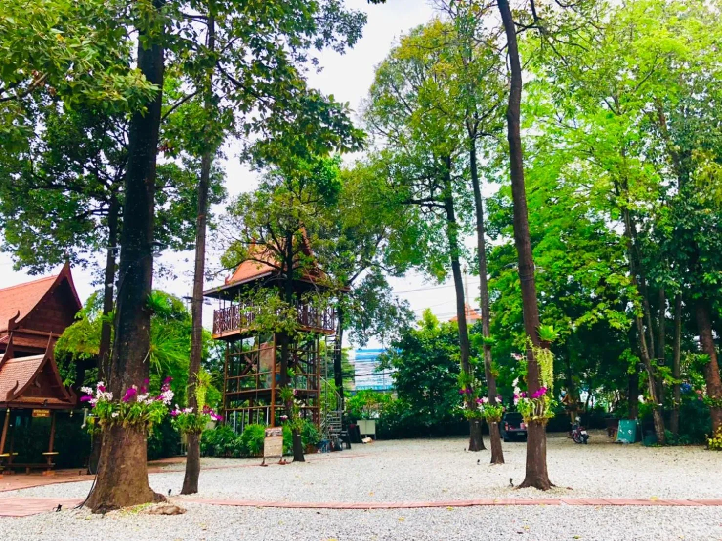 Restaurant/places to eat in Sugar Hut Resort & Restaurant