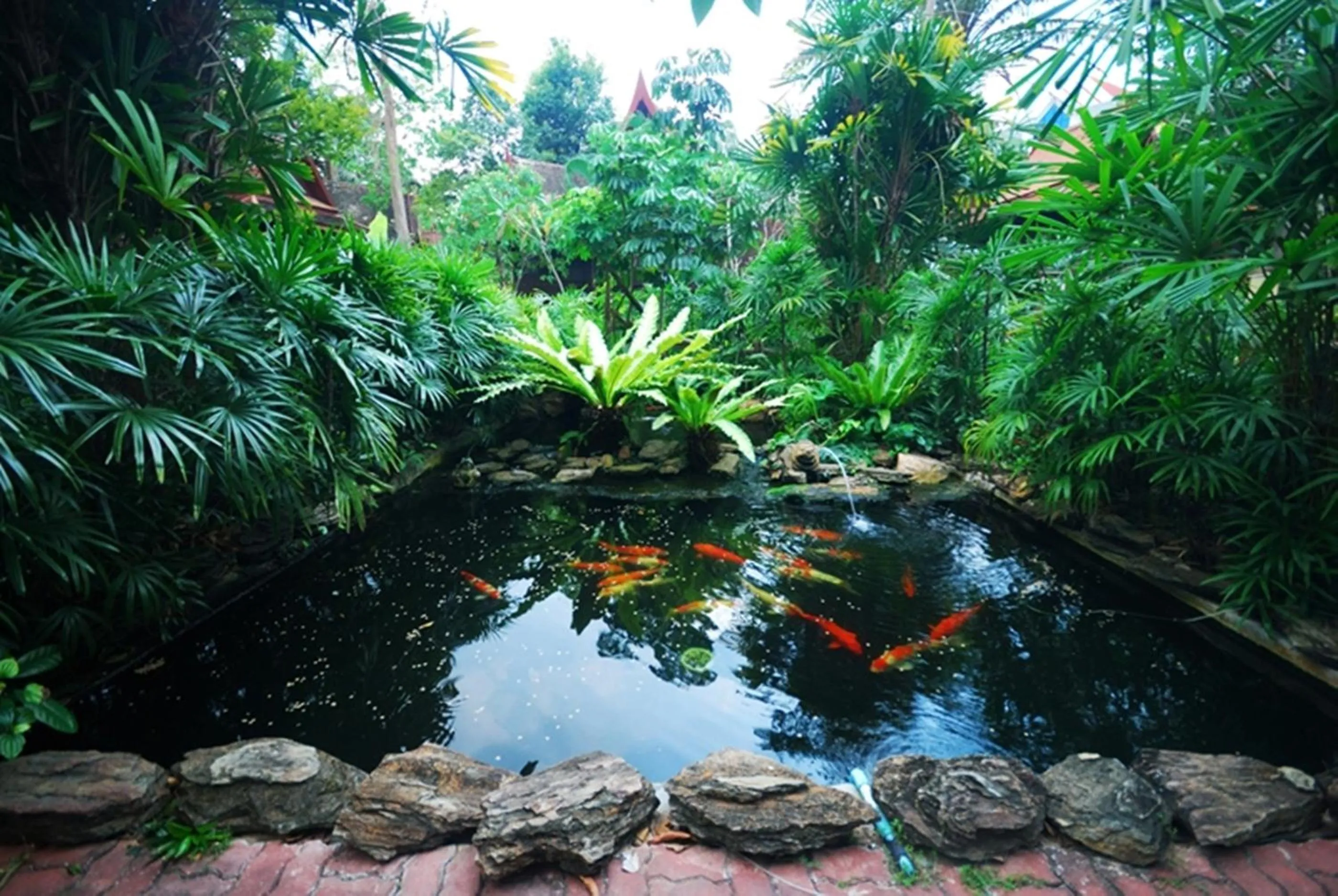 Pets in Sugar Hut Resort & Restaurant