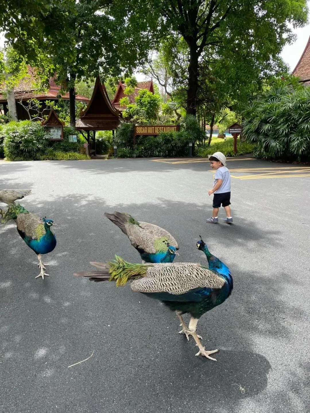 Sugar Hut Resort & Restaurant