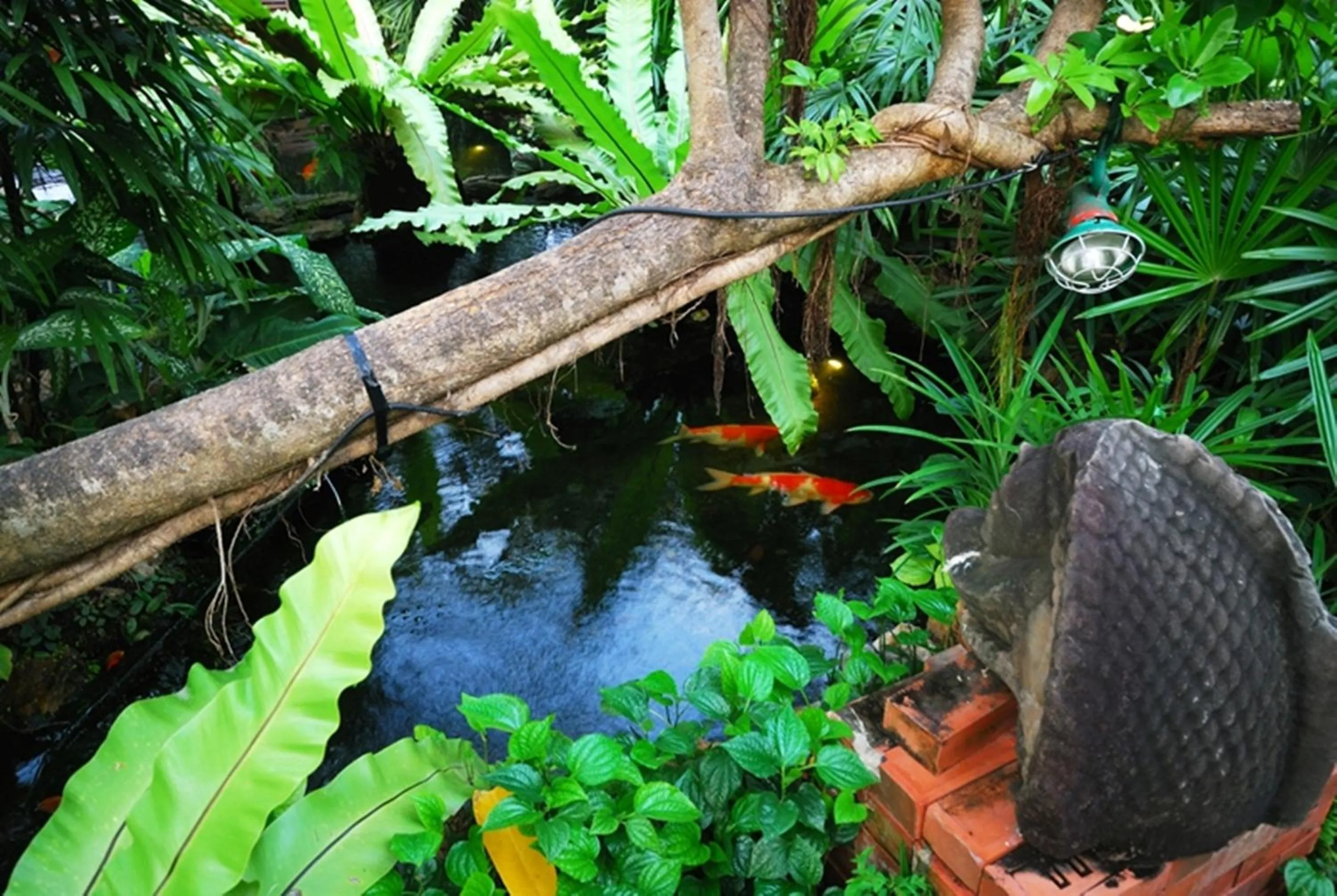 Pets in Sugar Hut Resort & Restaurant