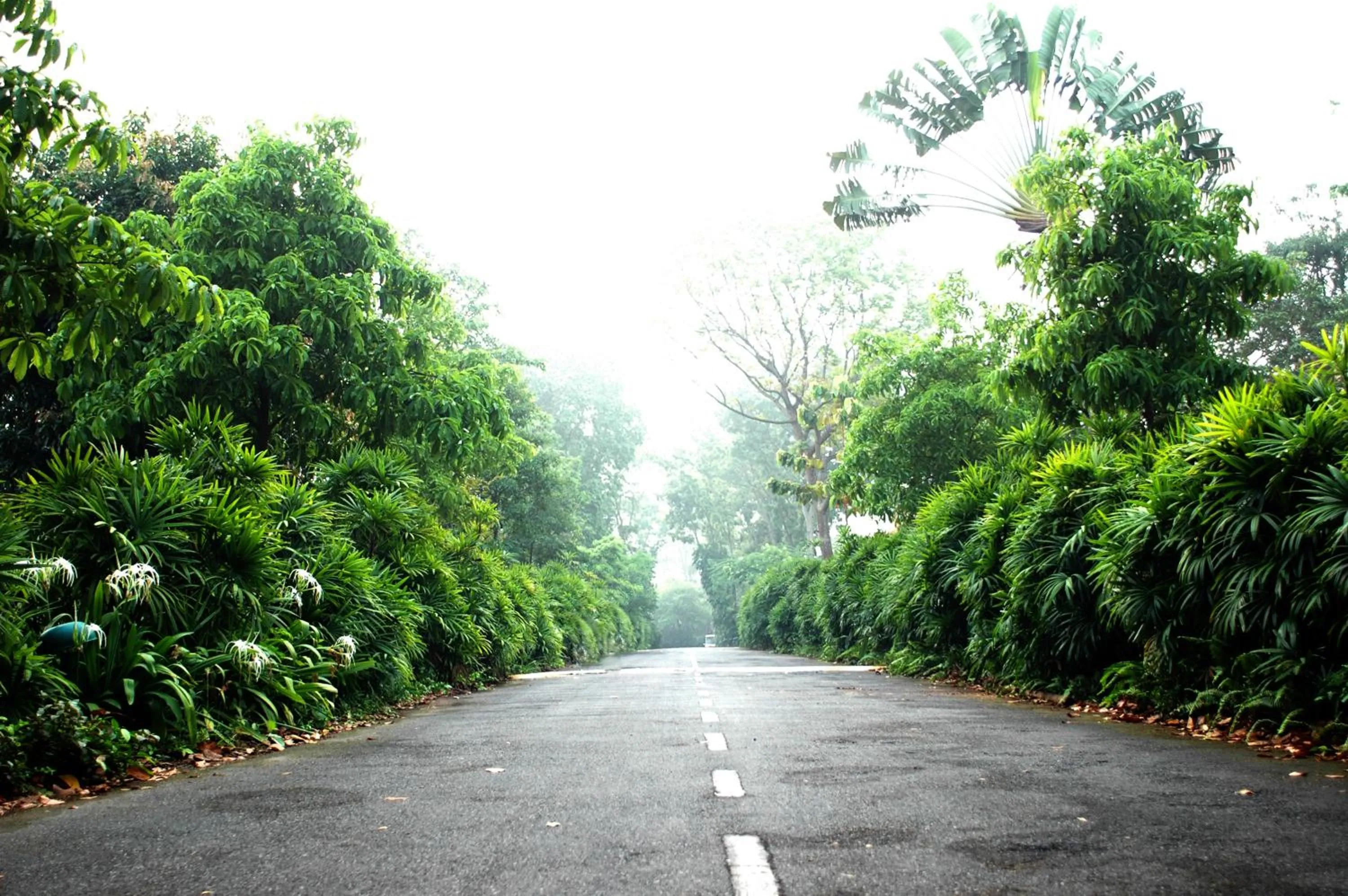 Facade/entrance in Sugar Hut Resort & Restaurant