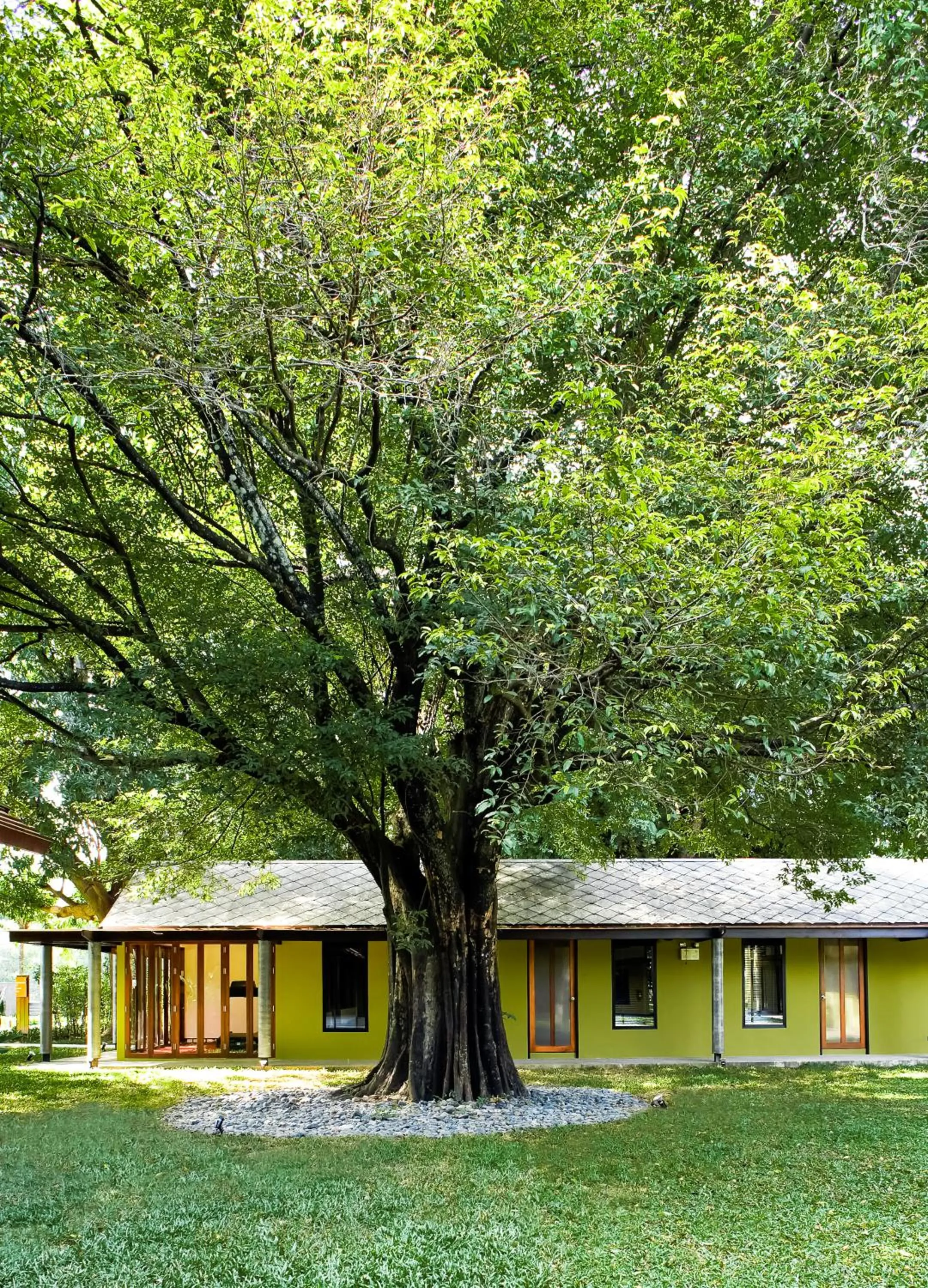 Natural landscape in U Inchantree Kanchanaburi