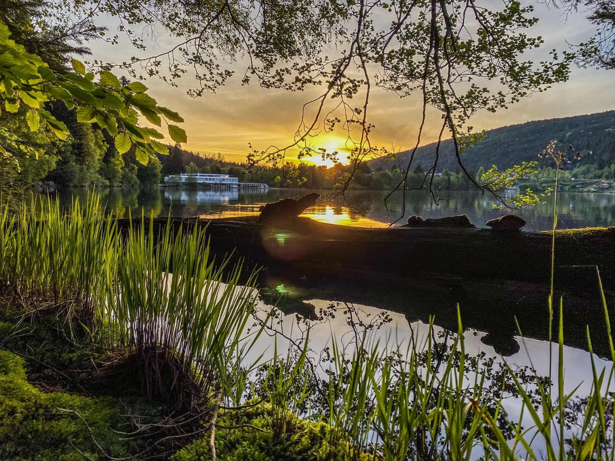Lake view in Appart'Hôtel LIDO au bord de l'eau