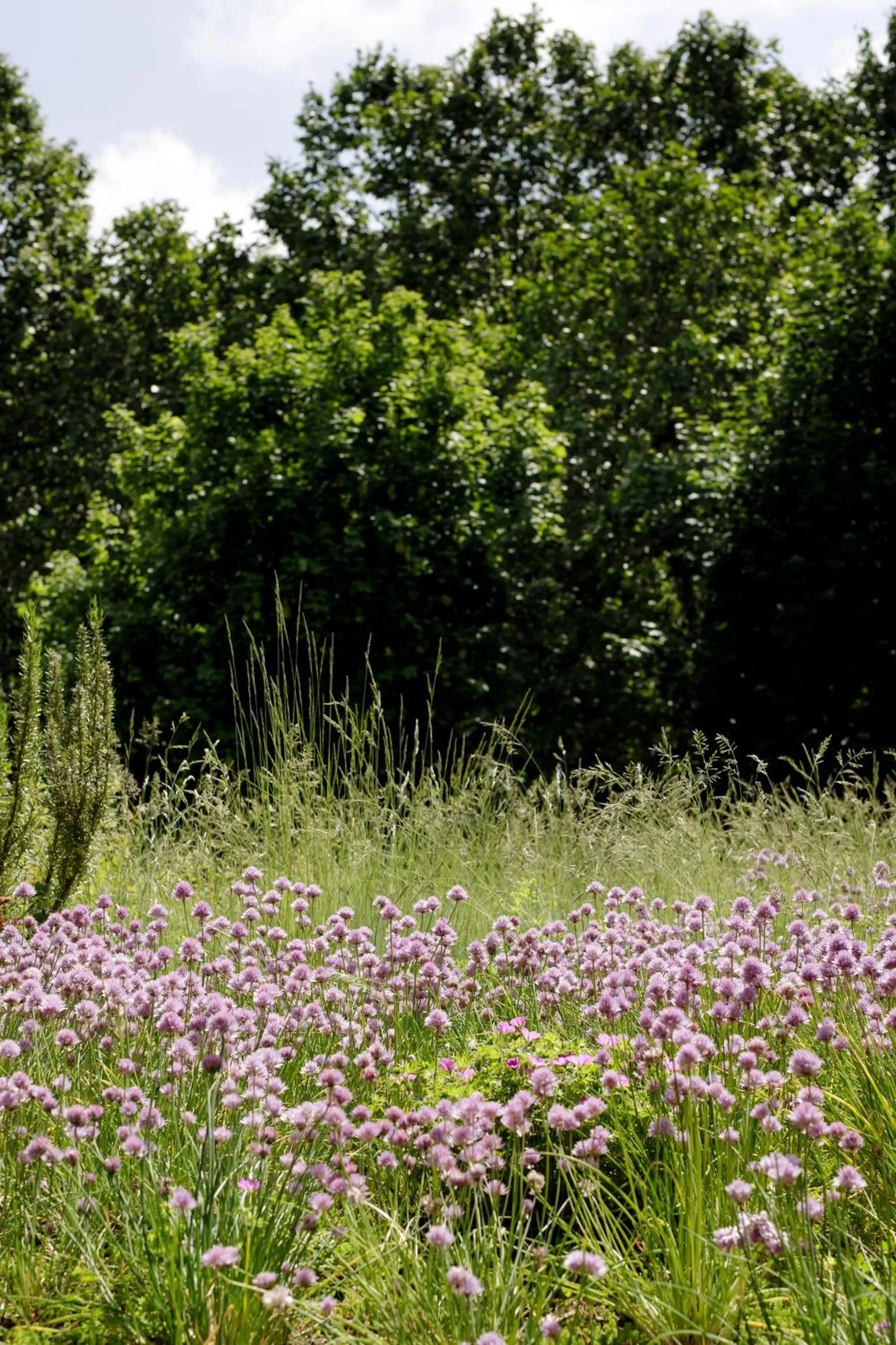Maison Decoret - Relais & Châteaux