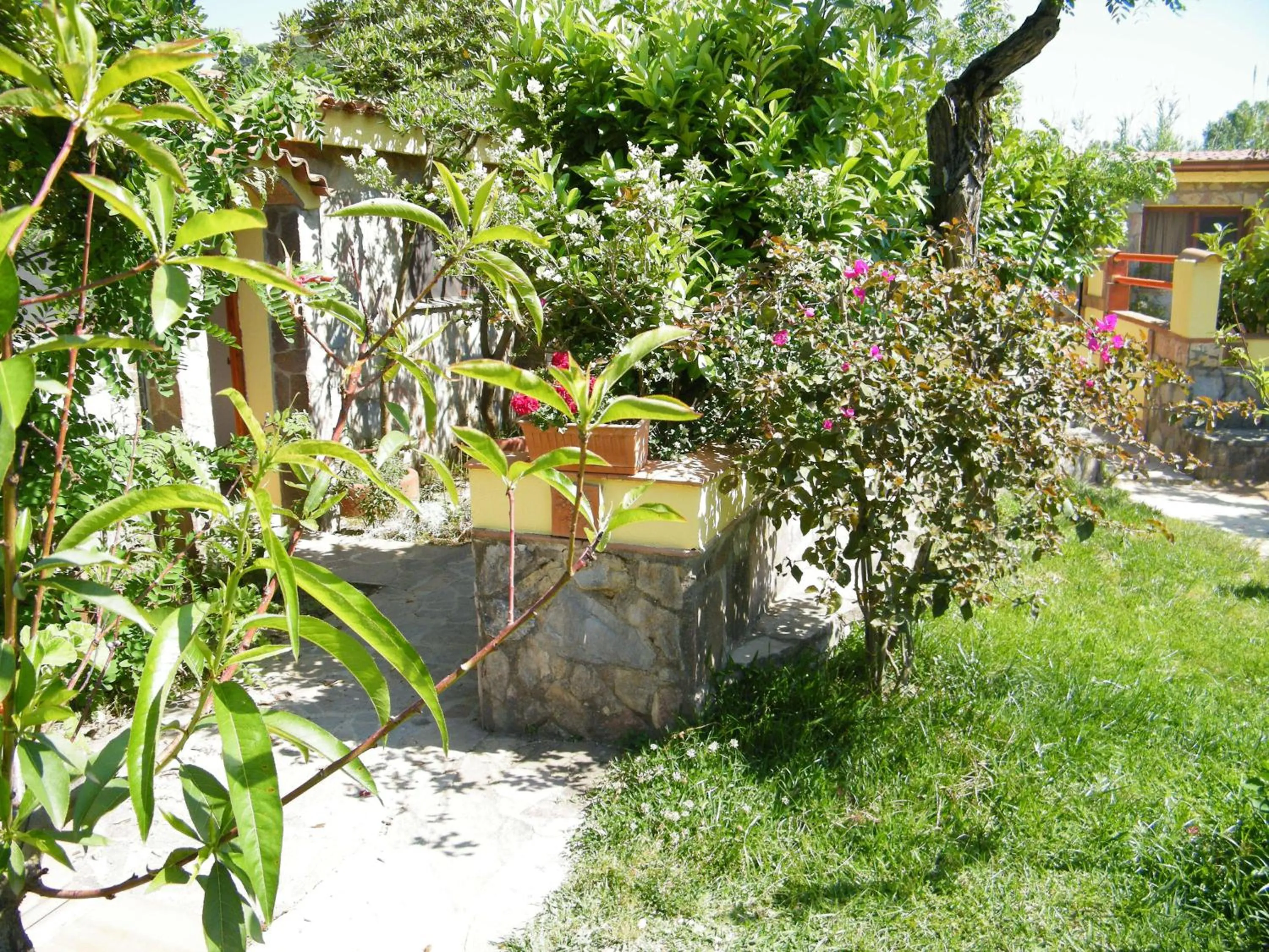 Garden in Hotel Villaggio Tabù