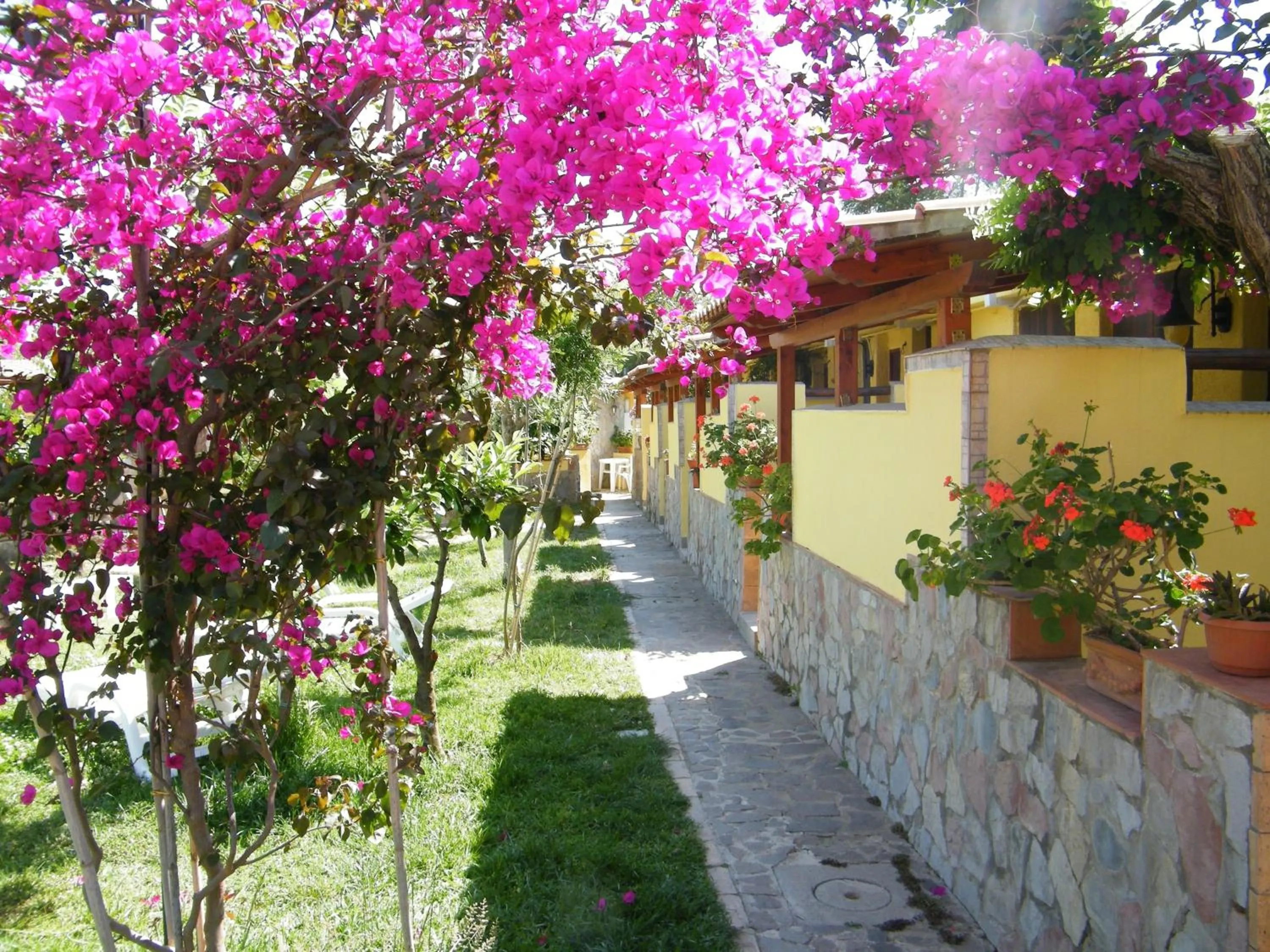 Spring in Hotel Villaggio Tabù